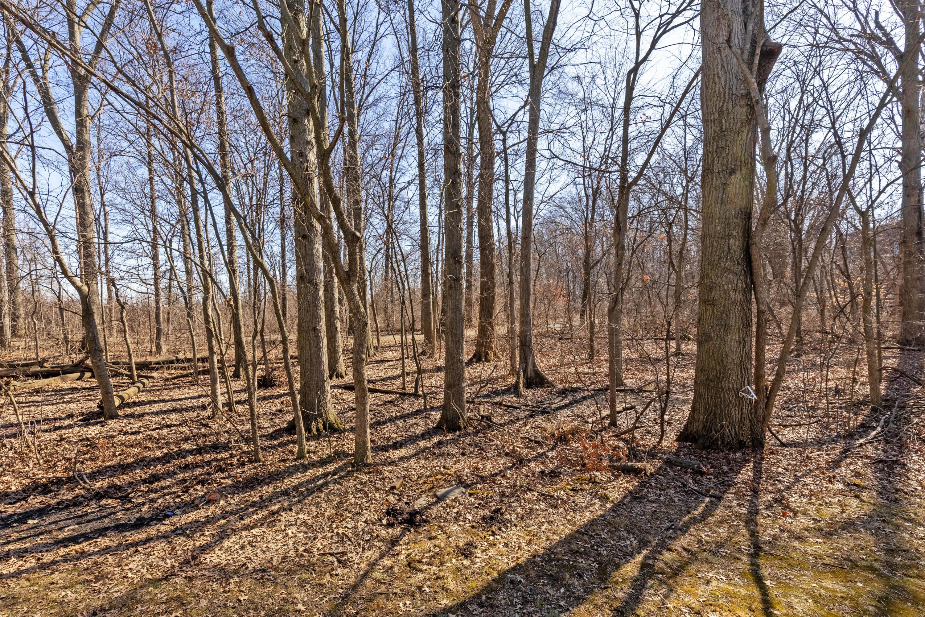 8148 Newark Avenue #14-B, Westerville, Ohio image 24