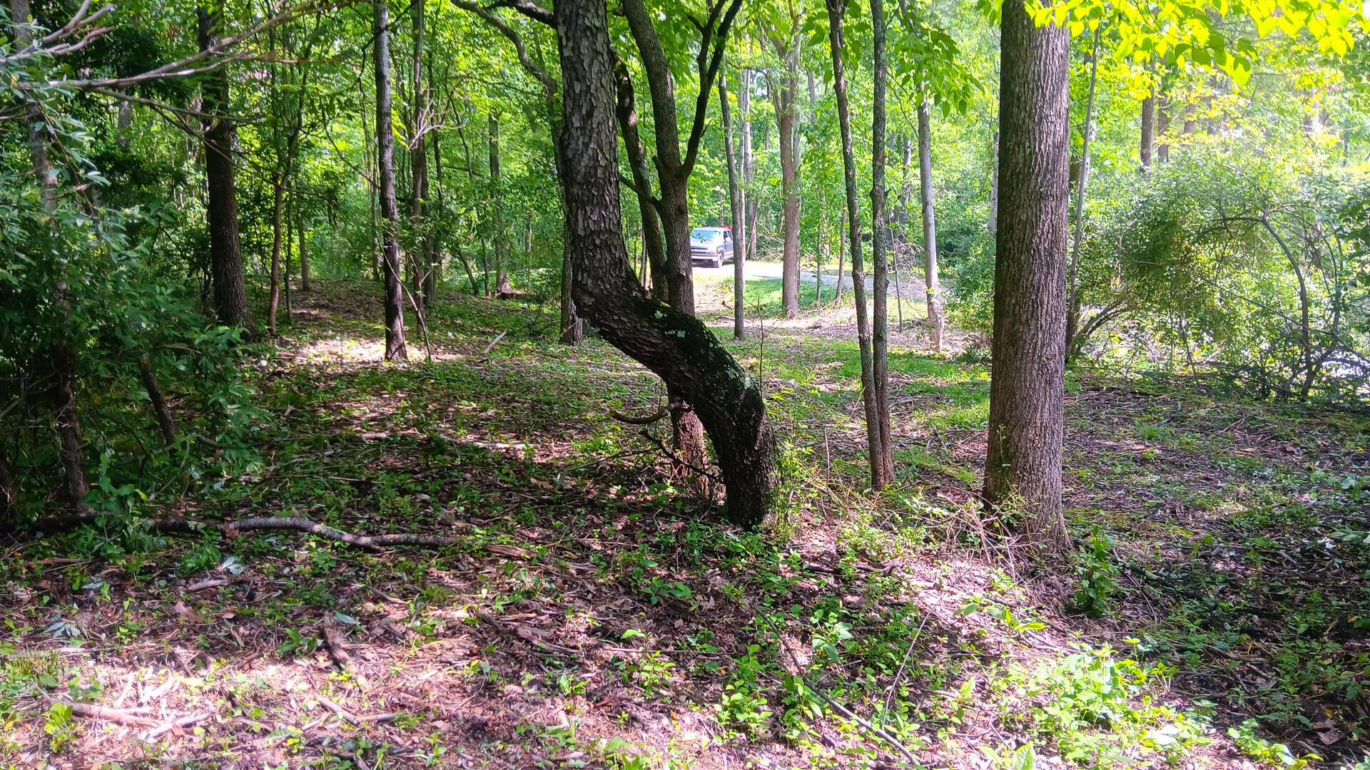Township Road 128 #TURKEY RUN TRACT 4, New Lexington, Ohio image 16