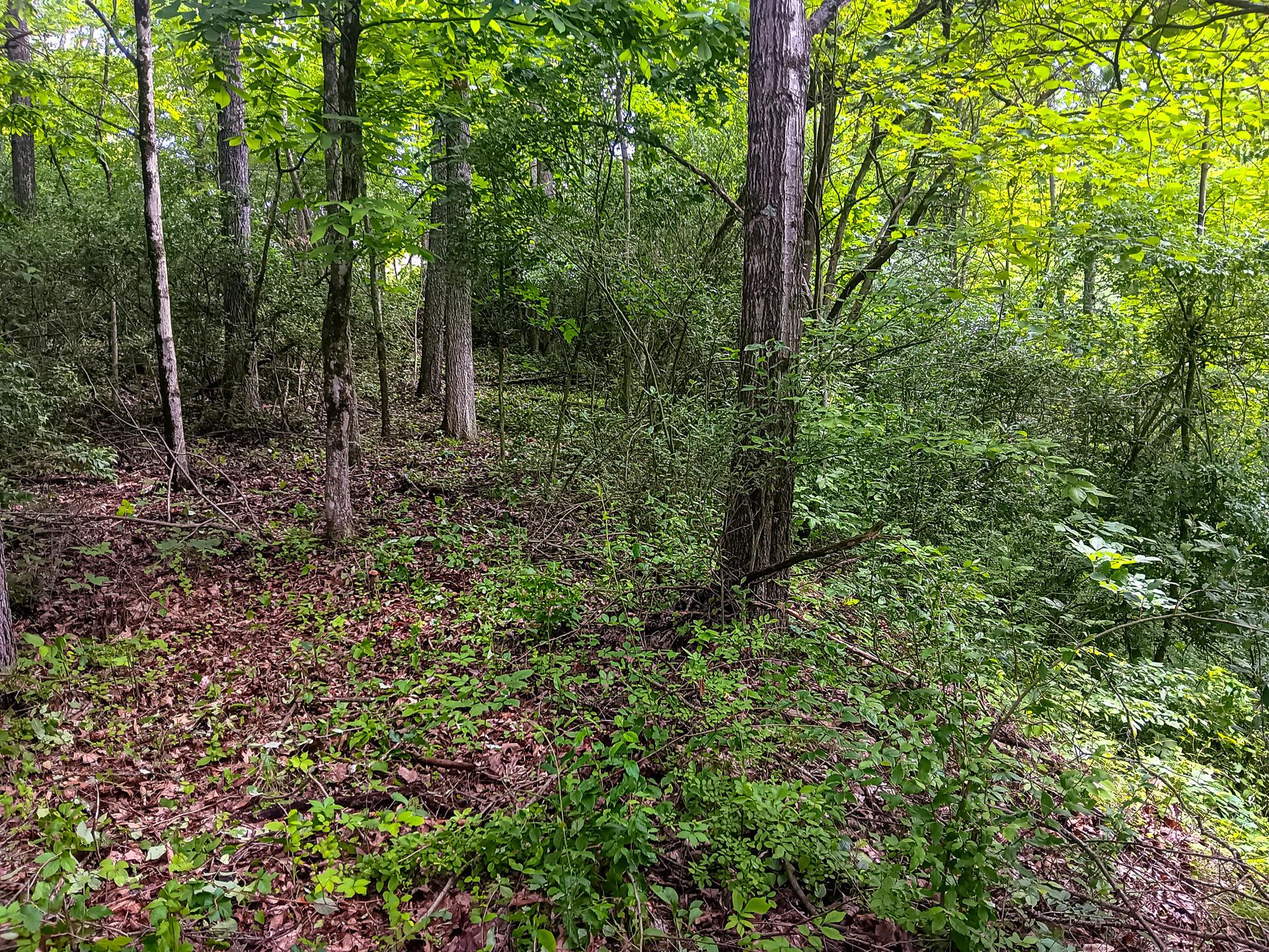 Township Road 128 #TURKEY RUN TRACT 4, New Lexington, Ohio image 28