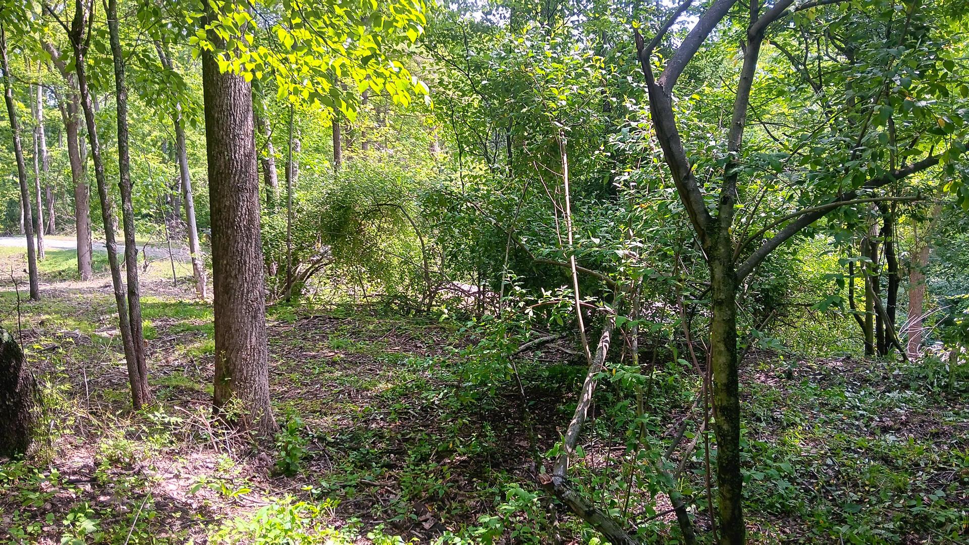 Township Road 128 #TURKEY RUN TRACT 4, New Lexington, Ohio image 18