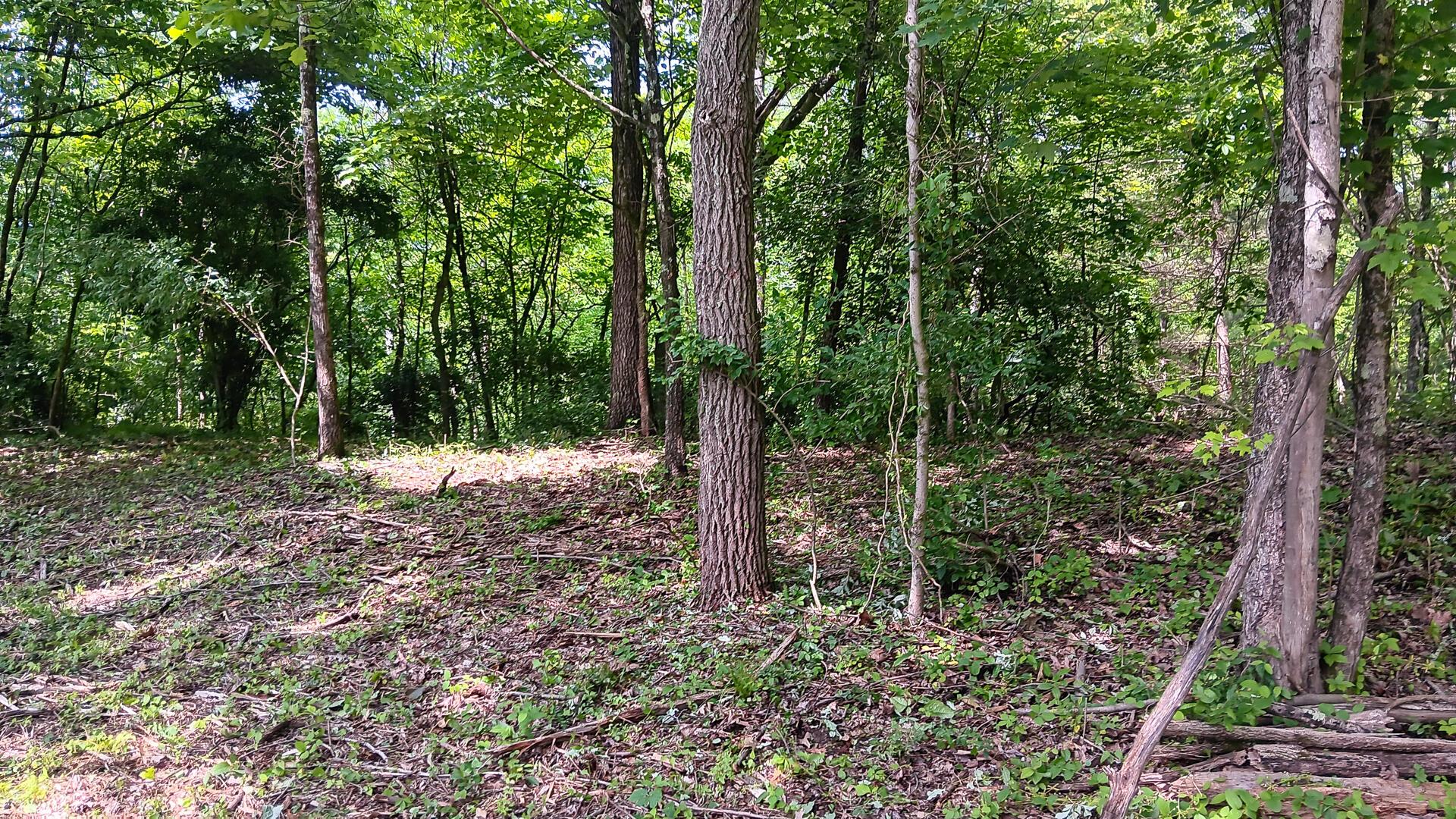 Township Road 128 #TURKEY RUN TRACT 4, New Lexington, Ohio image 21