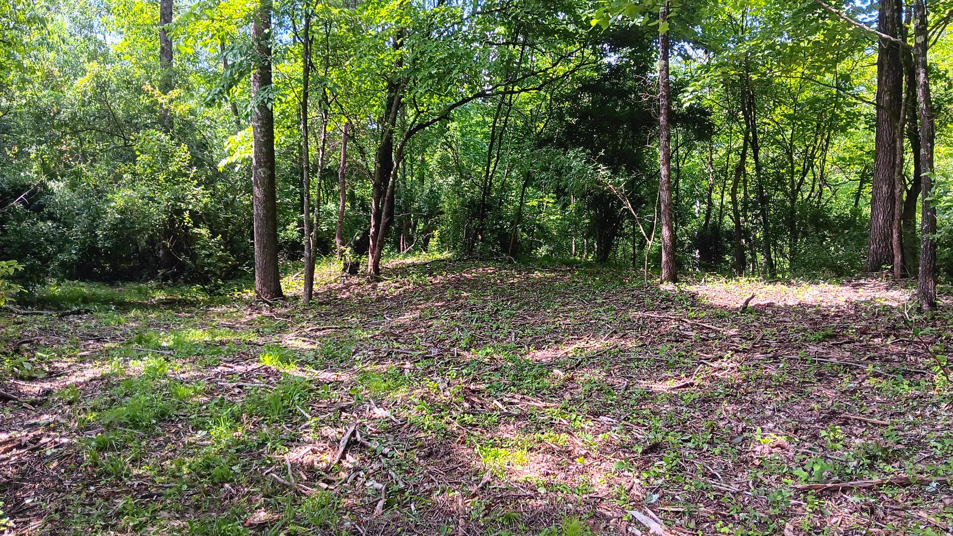 Township Road 128 #TURKEY RUN TRACT 4, New Lexington, Ohio image 20