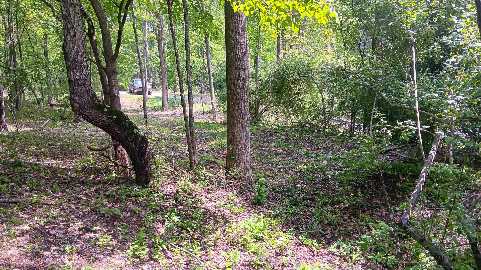 Township Road 128 #TURKEY RUN TRACT 4, New Lexington, Ohio image 17