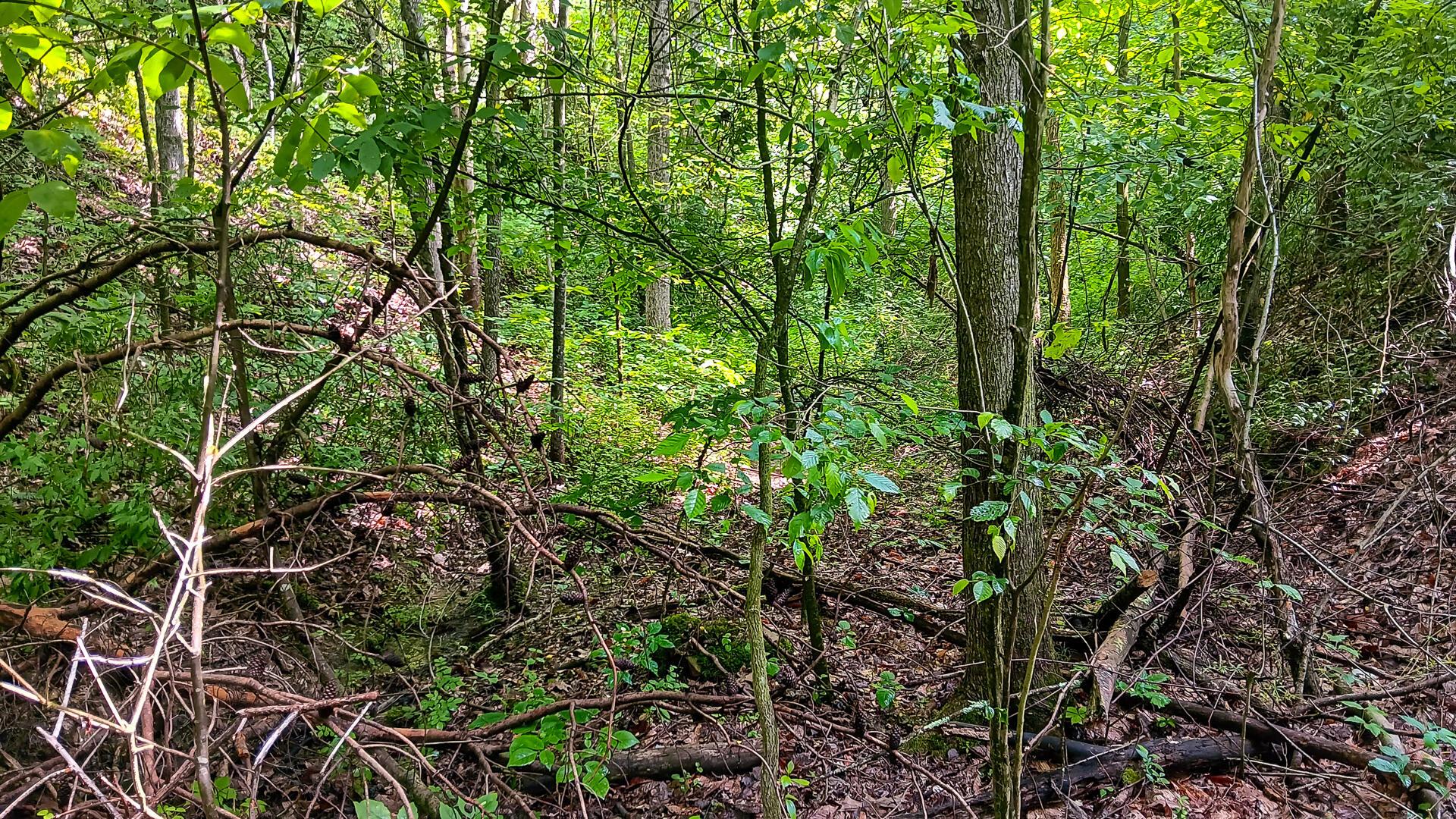 Township Road 128 #TURKEY RUN TRACT 4, New Lexington, Ohio image 32