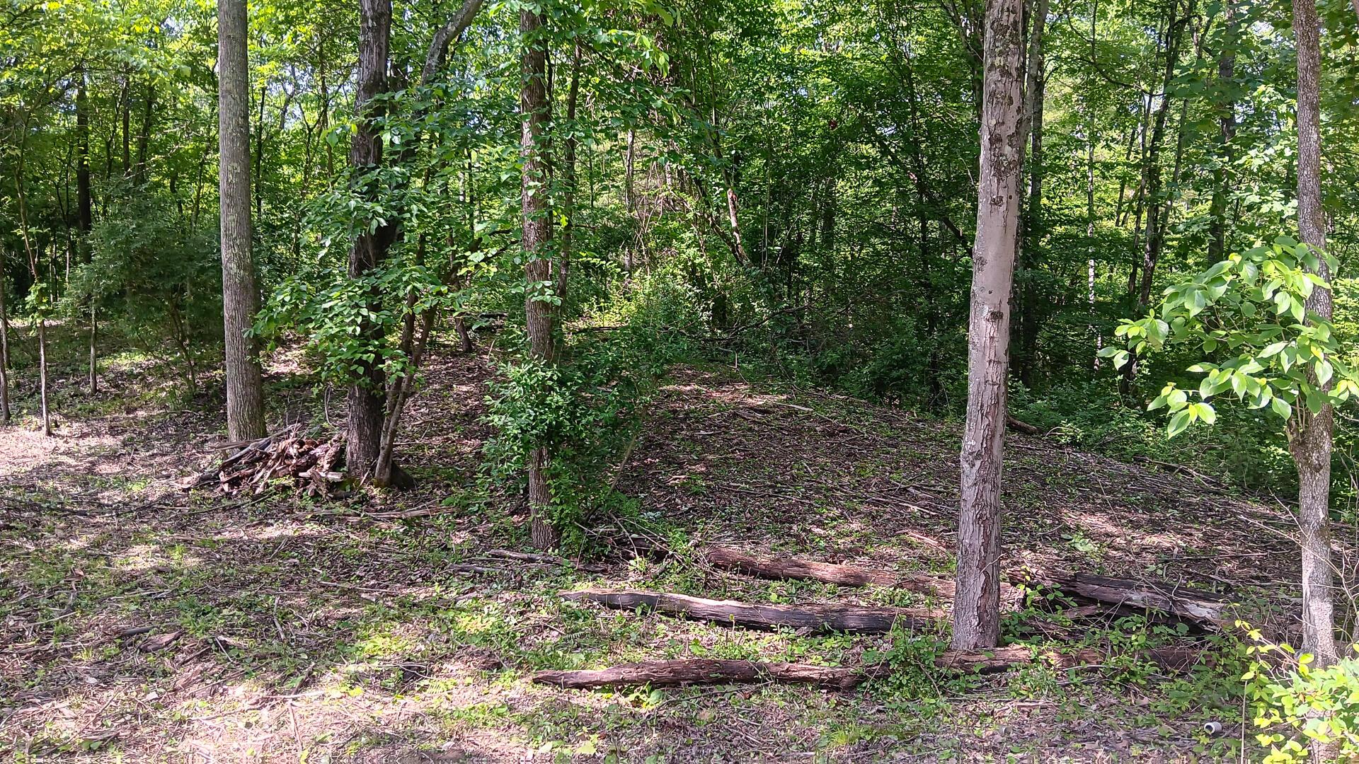 Township Road 128 #TURKEY RUN TRACT 4, New Lexington, Ohio image 22