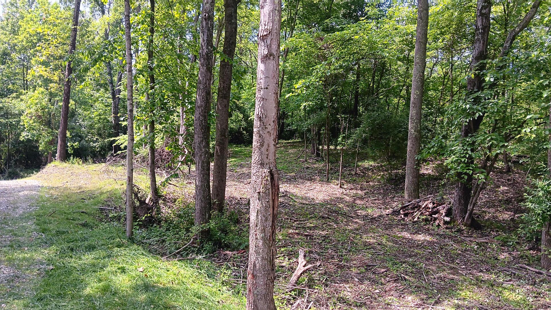 Township Road 128 #TURKEY RUN TRACT 4, New Lexington, Ohio image 23