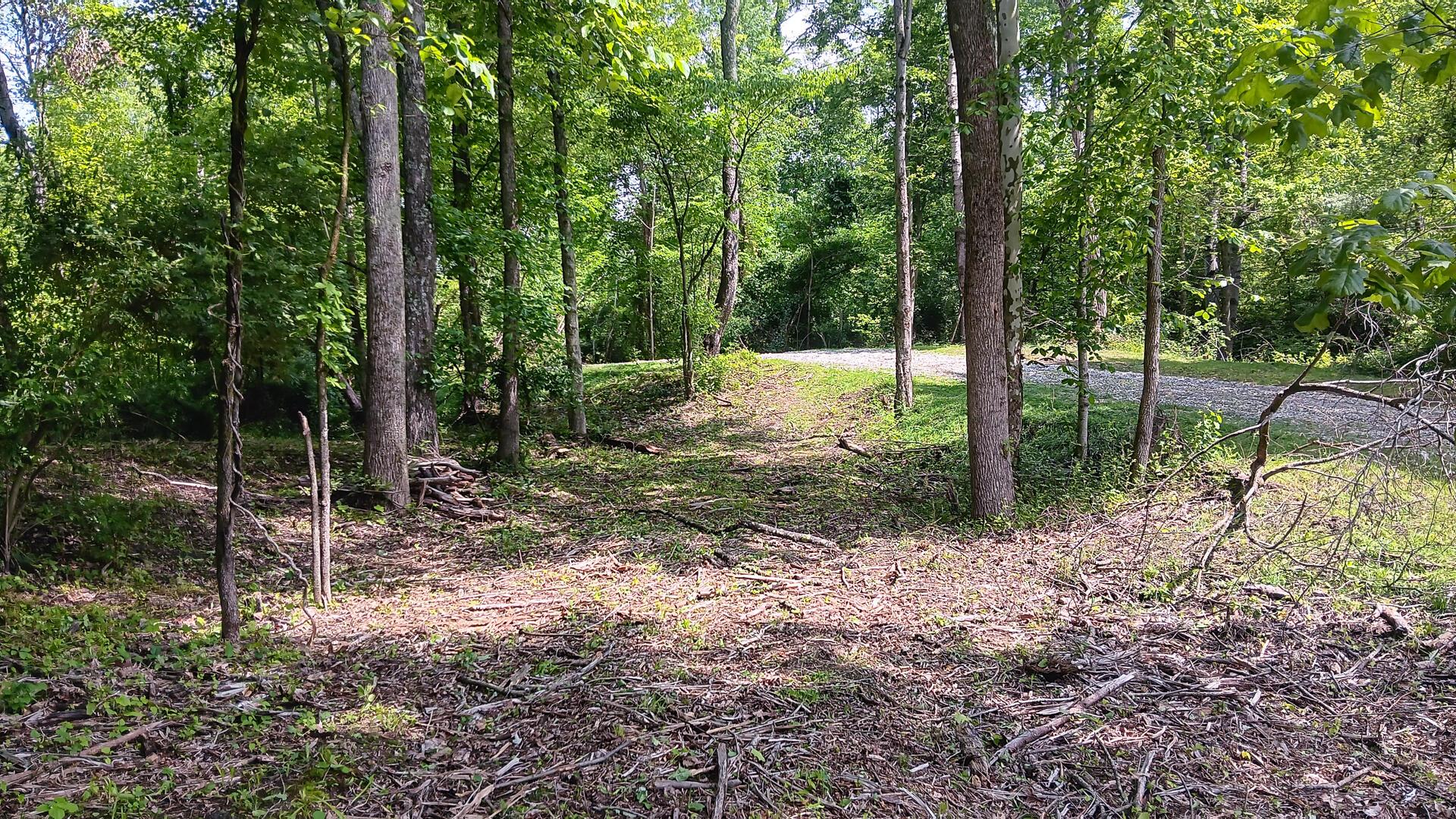 Township Road 128 #TURKEY RUN TRACT 4, New Lexington, Ohio image 15
