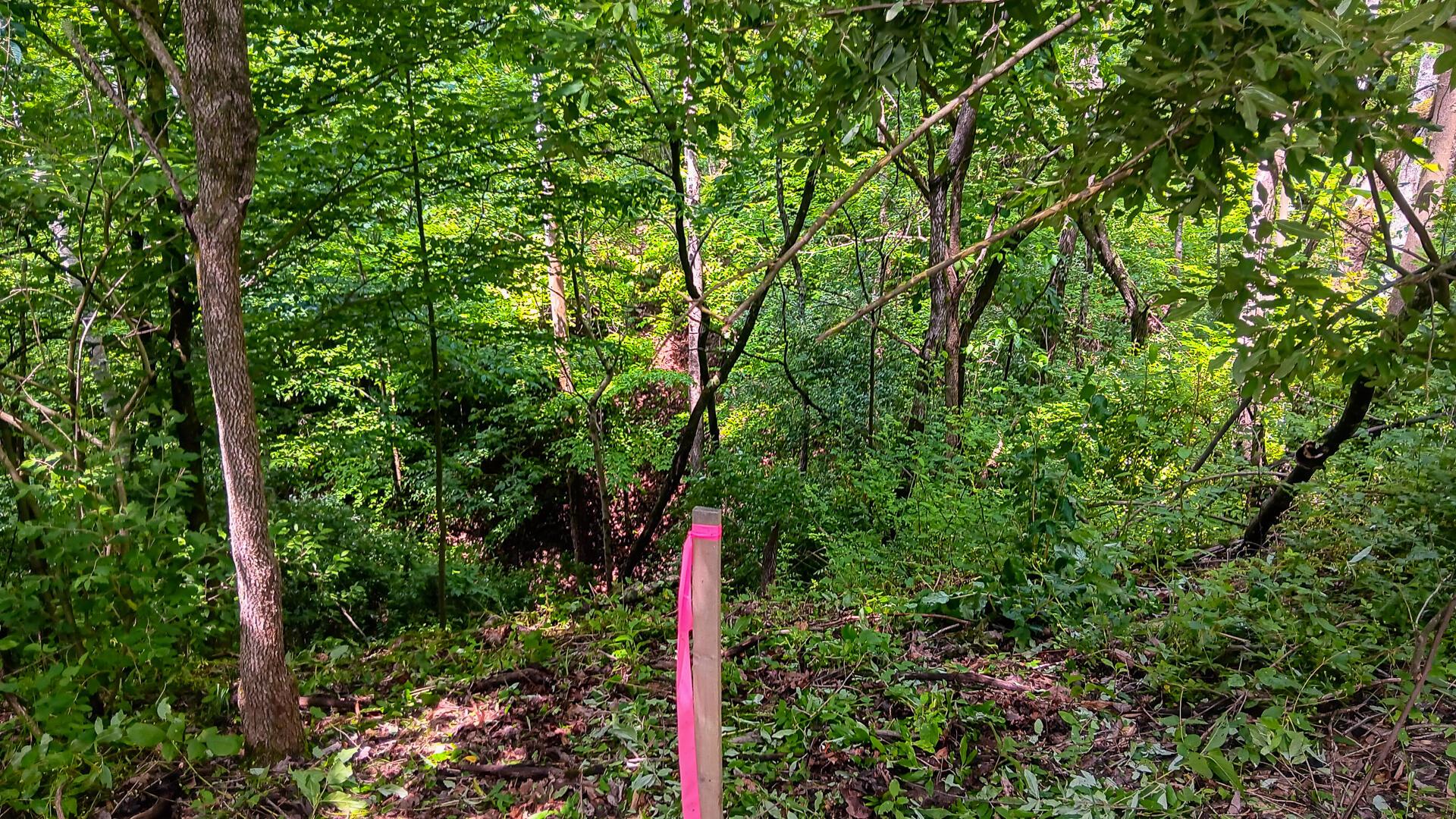 Township Road 128 #TURKEY RUN TRACT 4, New Lexington, Ohio image 36