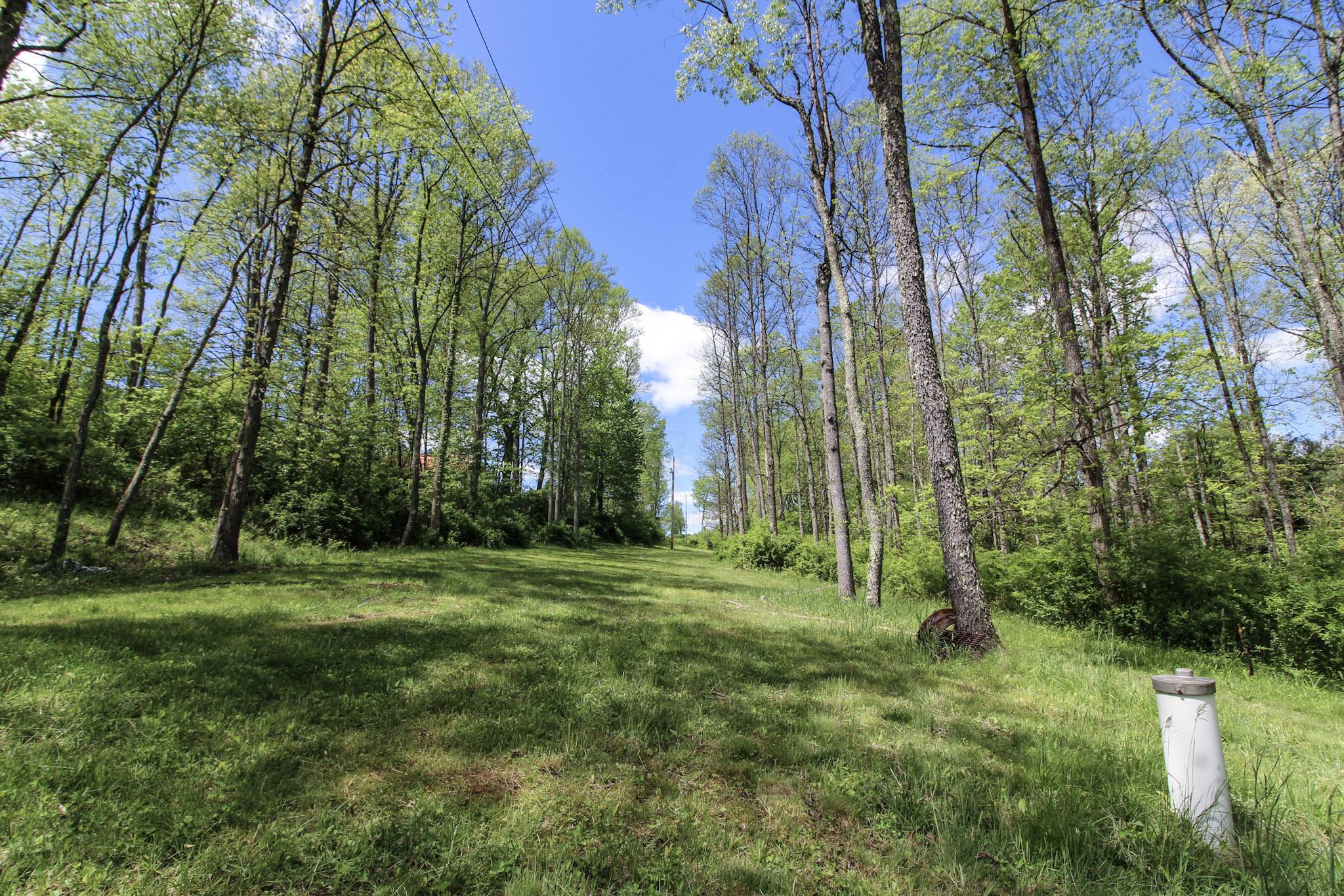 45095 W Union Road, Sardis, Ohio image 27