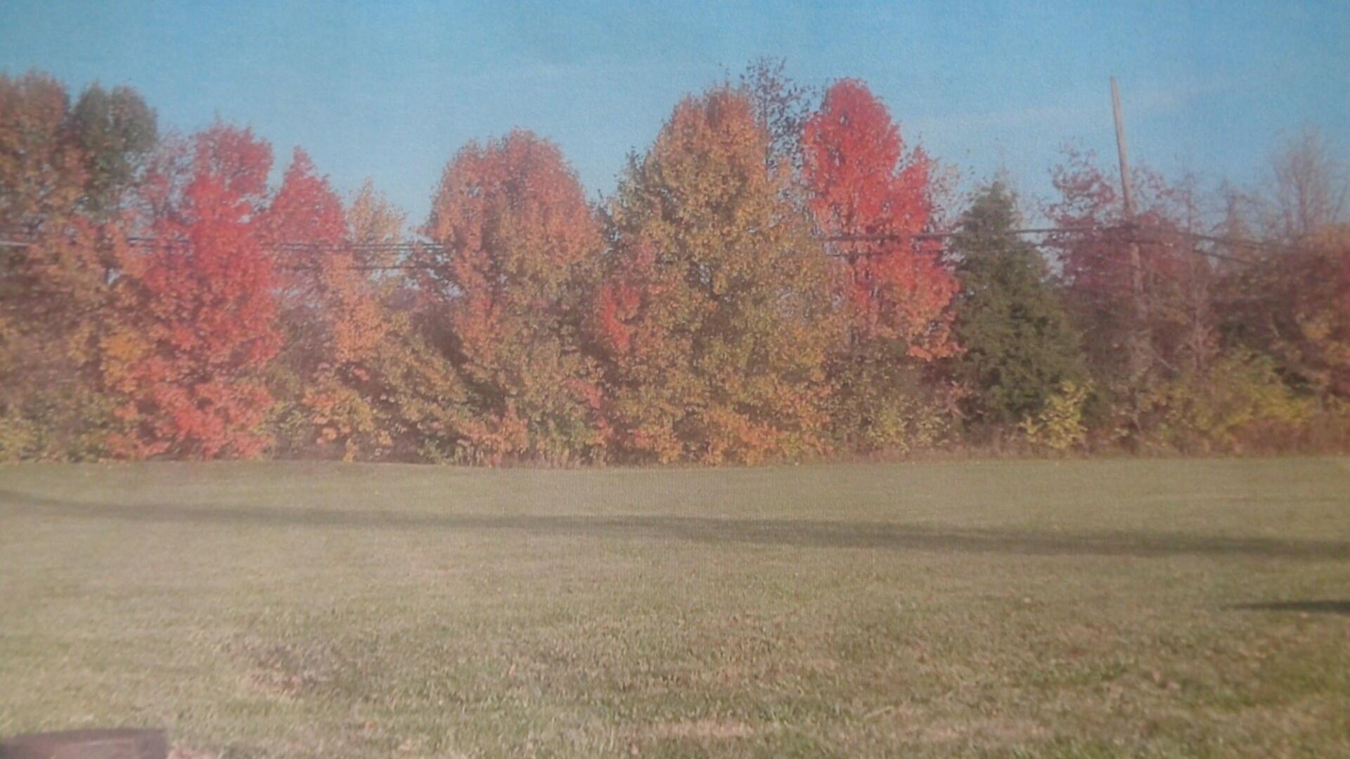 1250 Pineridge Drive, Marion, Ohio image 2