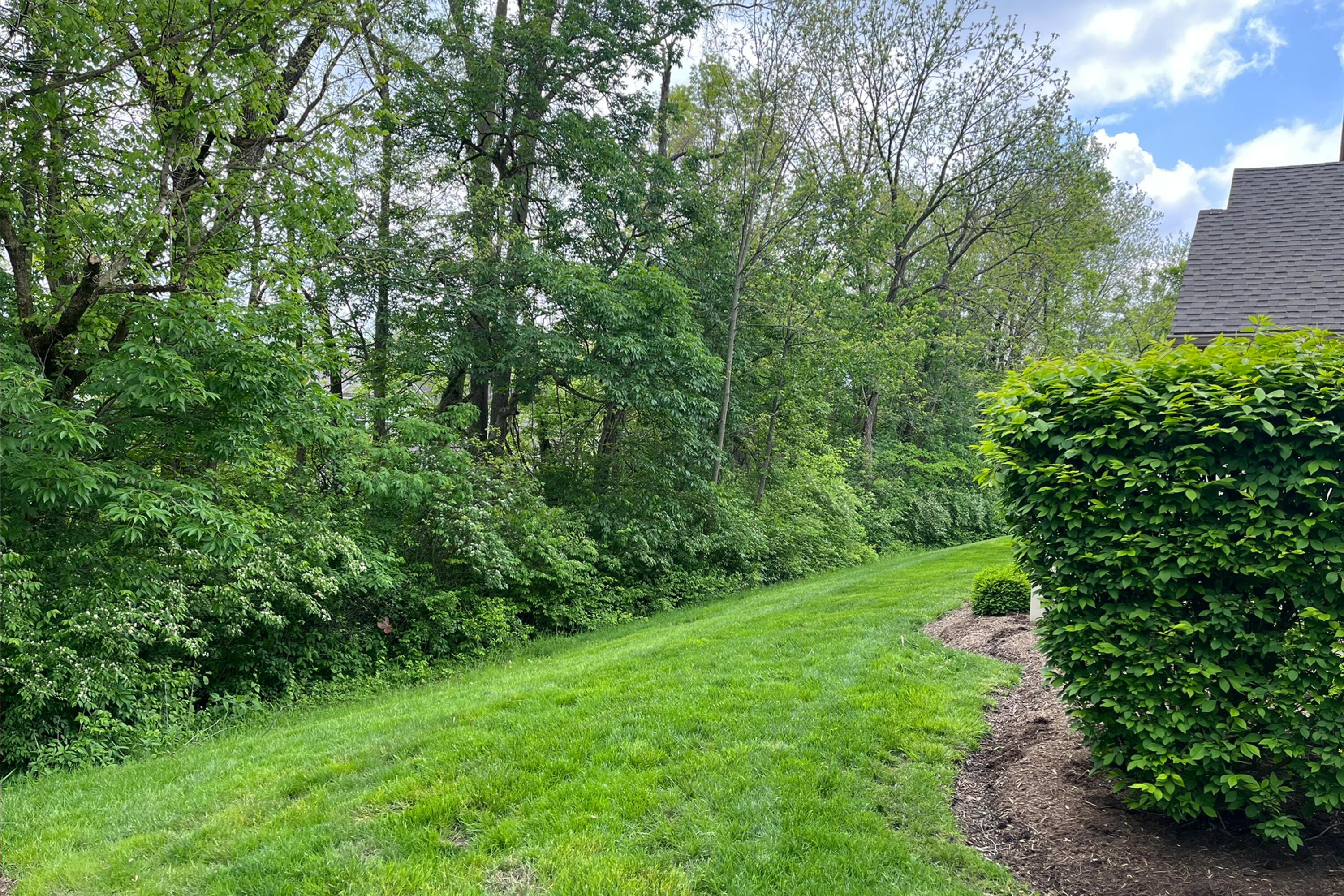 7742 Blue Juniper Drive, Westerville, Ohio image 38