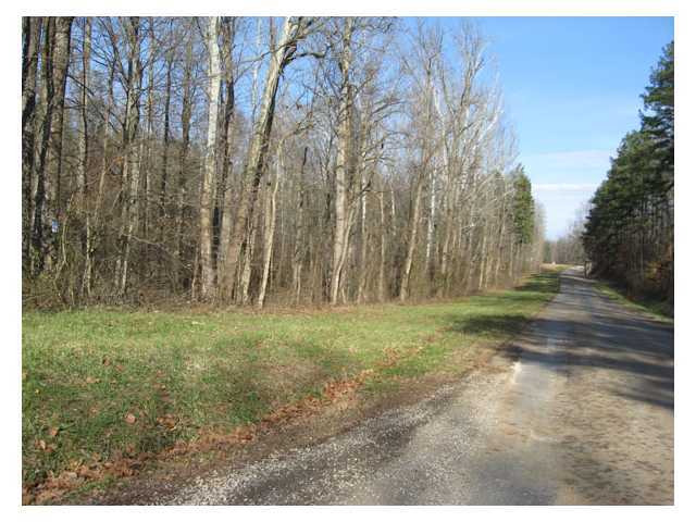 Painters Ridge Road, Vinton, Ohio image 2