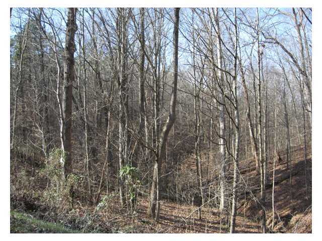 Painters Ridge Road, Vinton, Ohio image 9