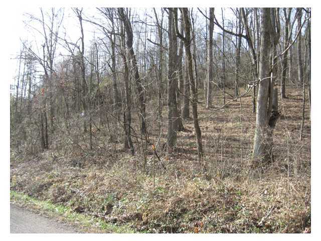 Painters Ridge Road, Vinton, Ohio image 7
