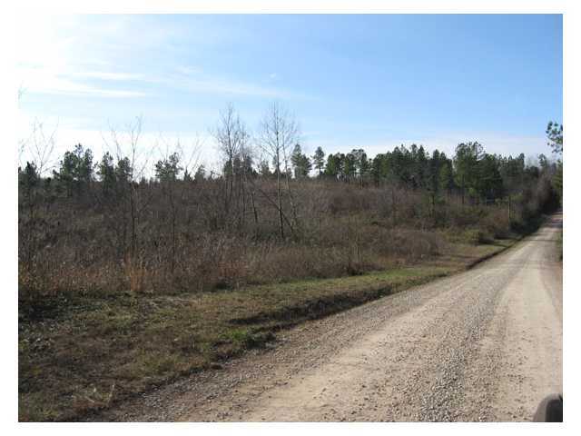 Painters Ridge Road, Vinton, Ohio image 5