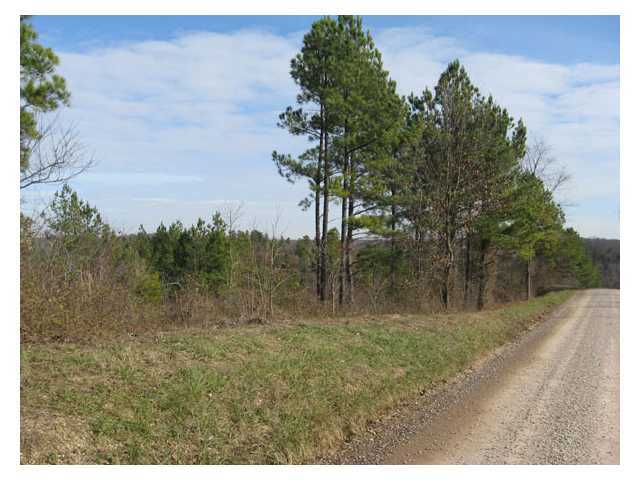 Painters Ridge Road, Vinton, Ohio image 4