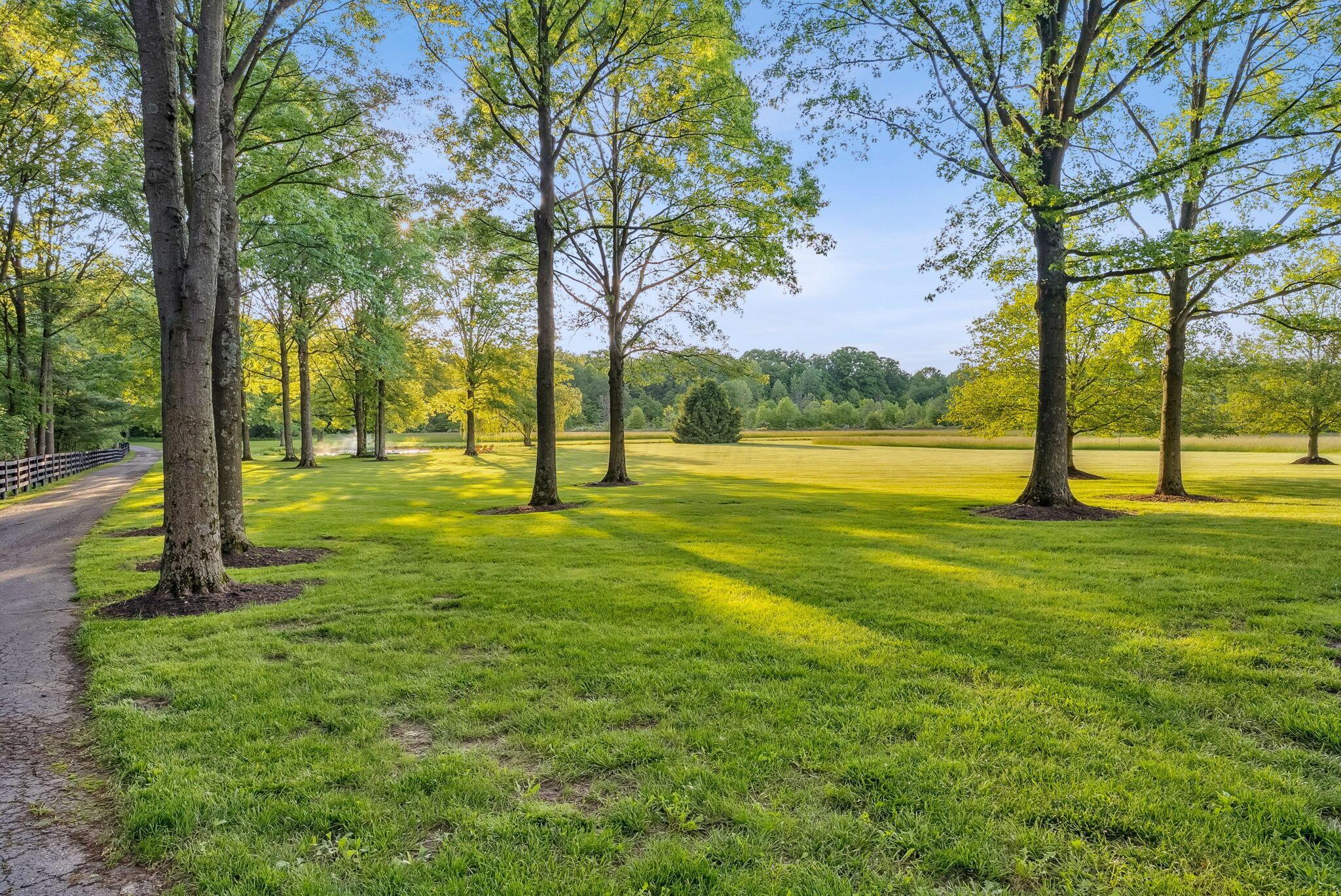 14121 Perfect Road, Sunbury, Ohio image 11