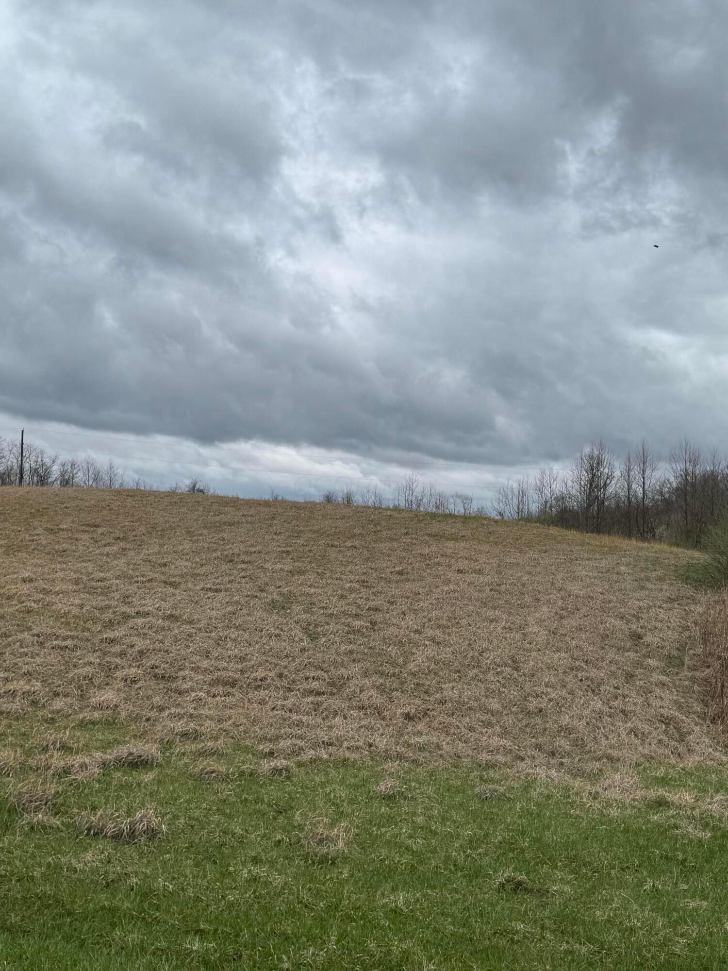 Cliff Wilson Road, Corning, Ohio image 6