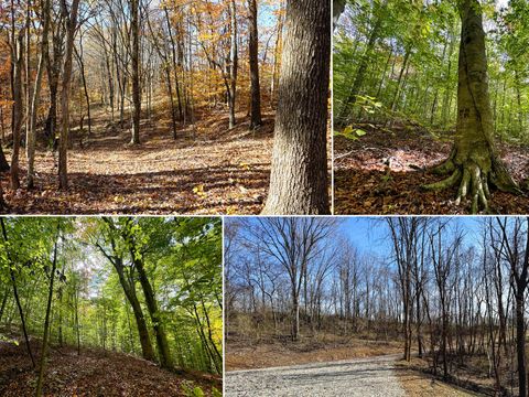 Photo of 7447 Township Rd 215-A SE (Tract 6 at Shawnee Woods) #(Tract 6 at Shawnee, Corning, OH 43730 (MLS # 225043720)