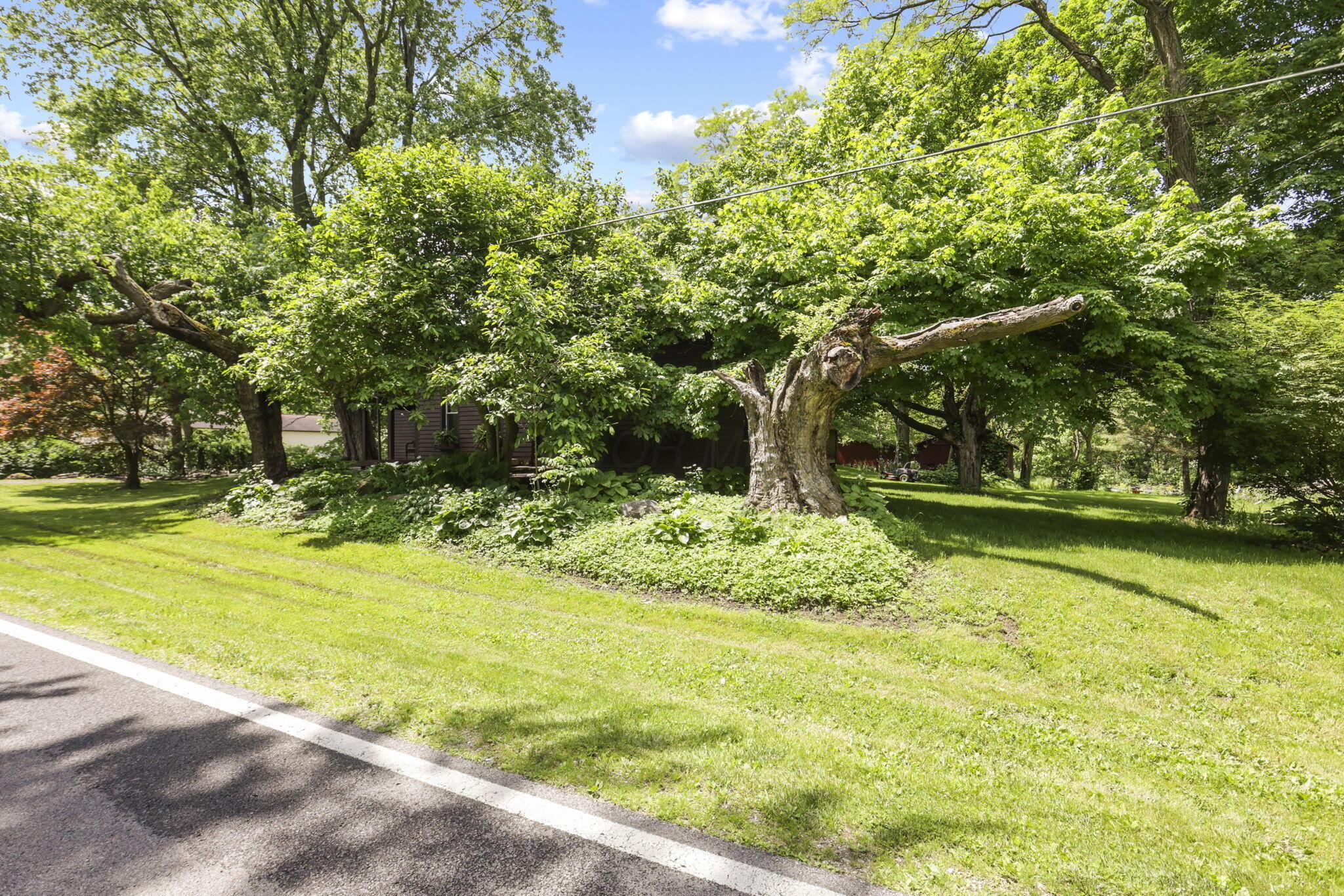 3388 Outville Road, Granville, Ohio image 34