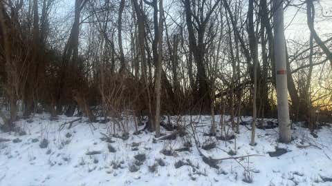 Photo for 1957 Blue Jay Road