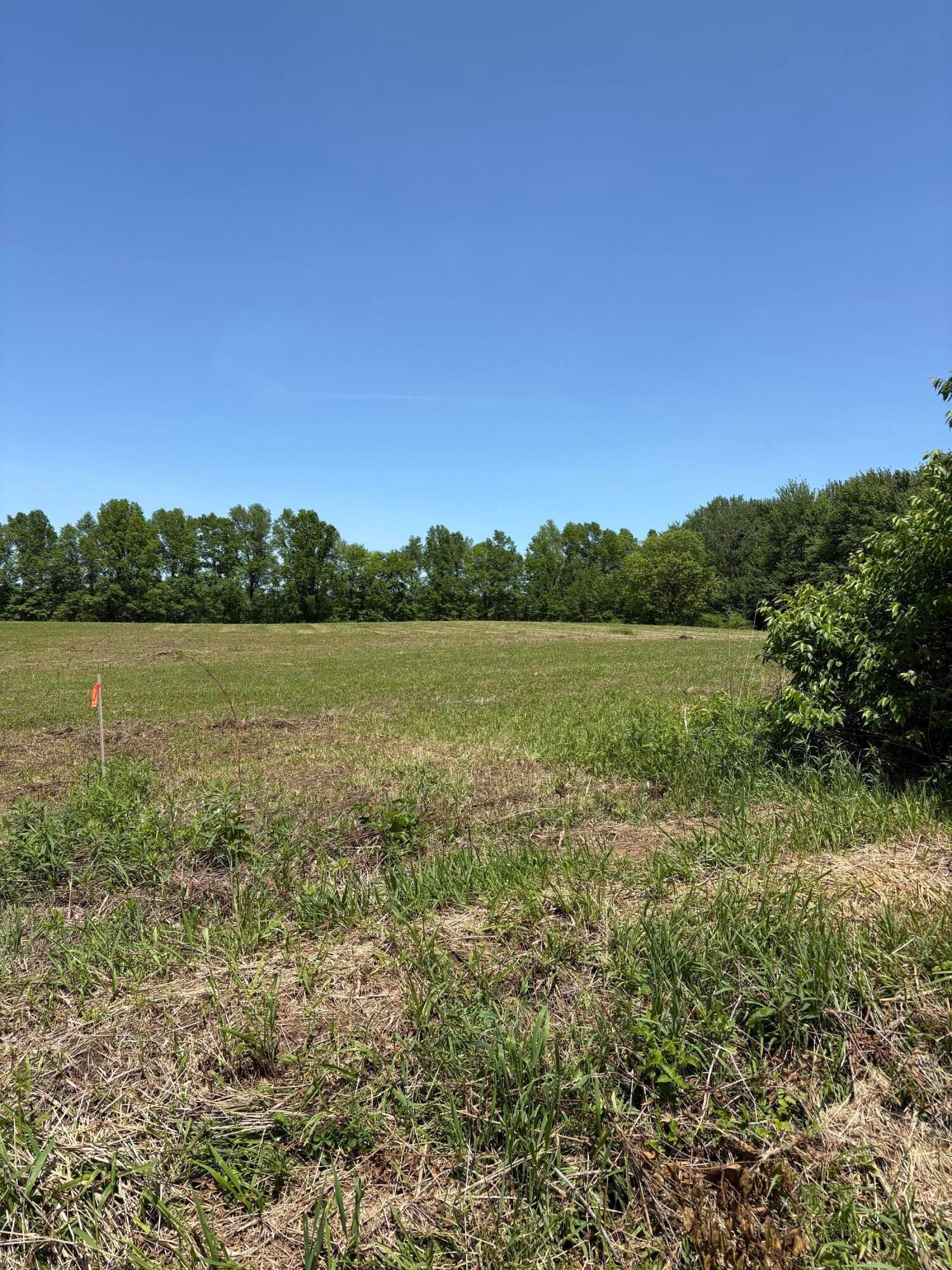 0 County Road 124 Tract #2