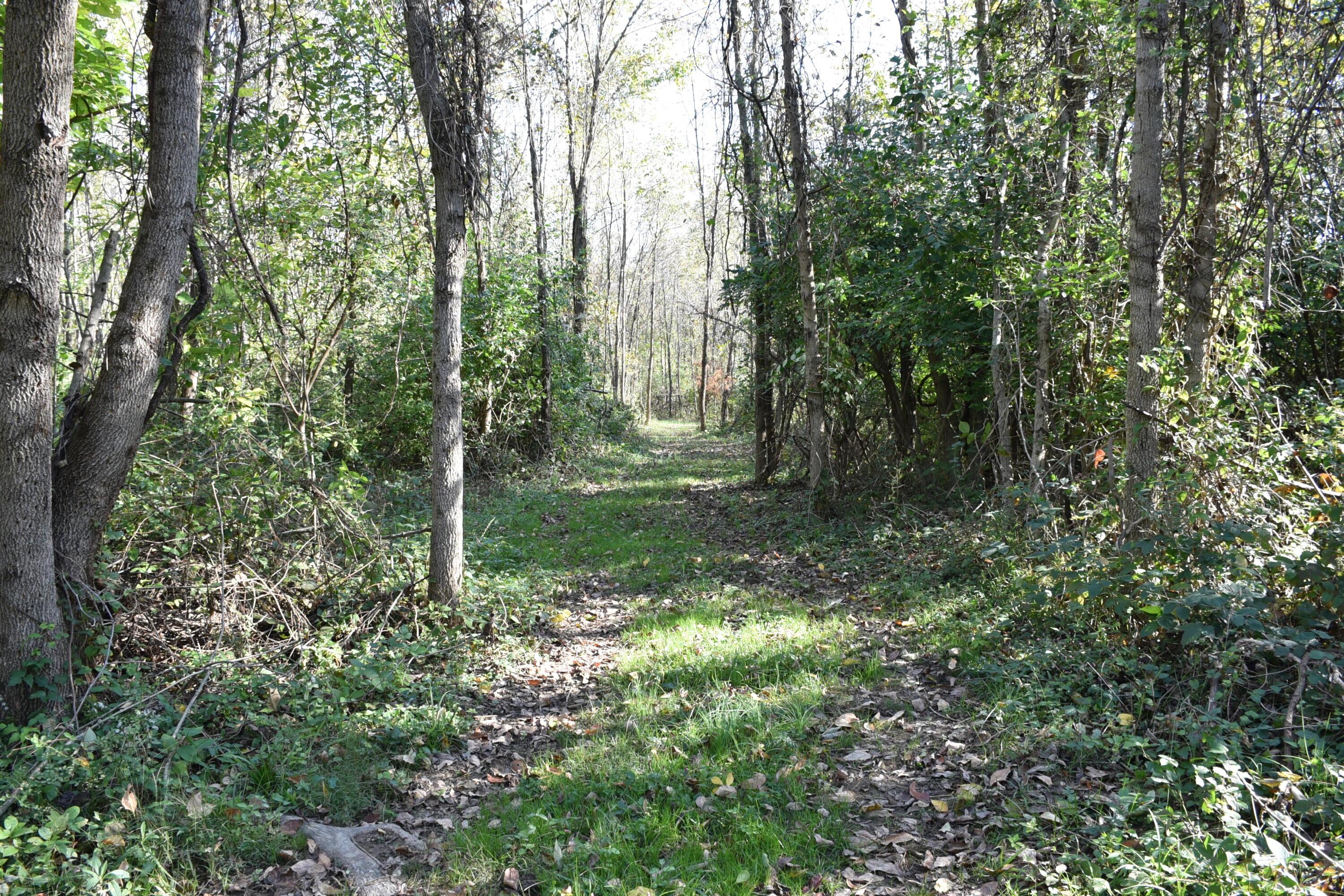 Sitterley Road, Canal Winchester, Ohio image 9