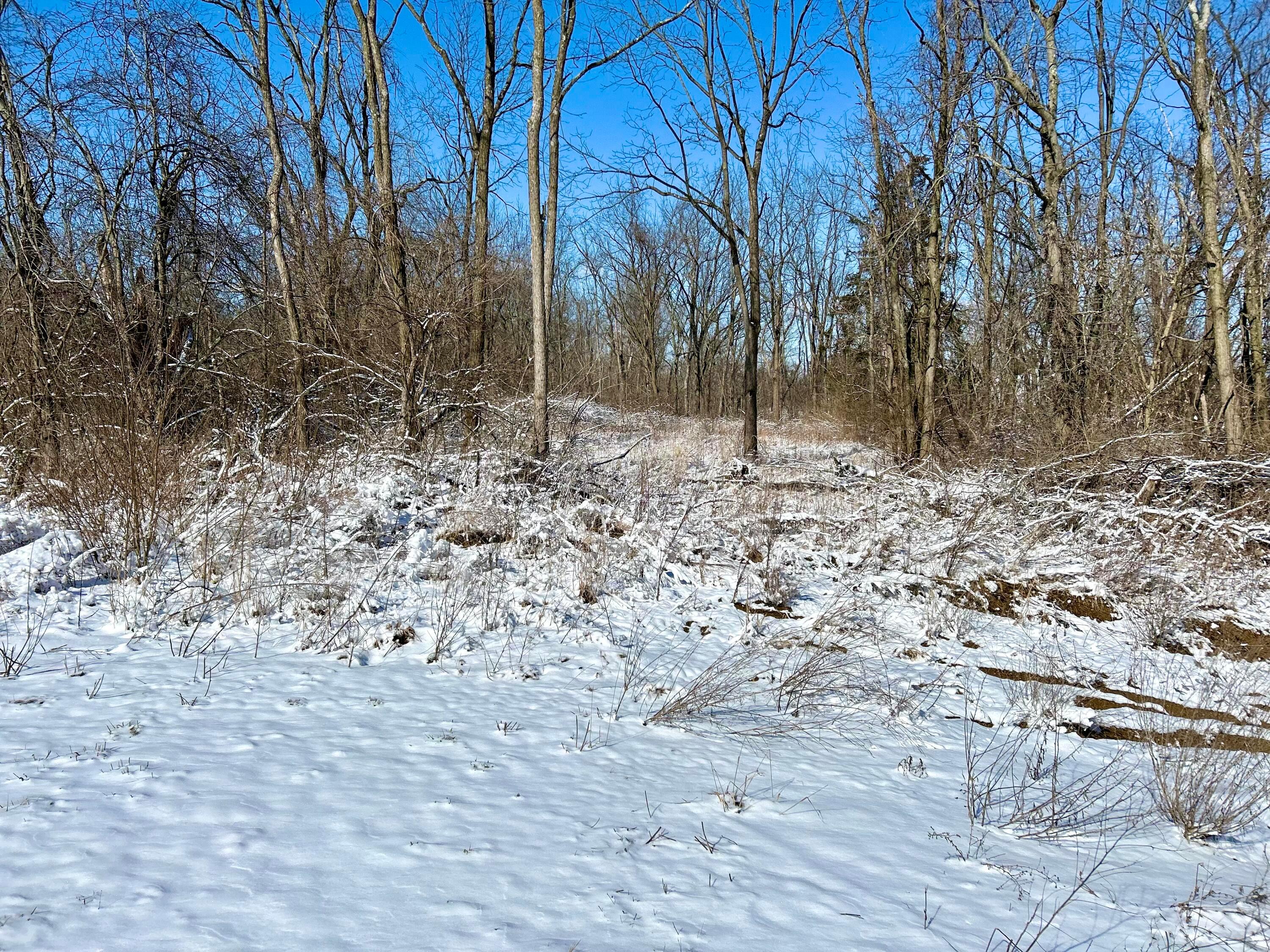 Sitterley Road, Canal Winchester, Ohio image 38