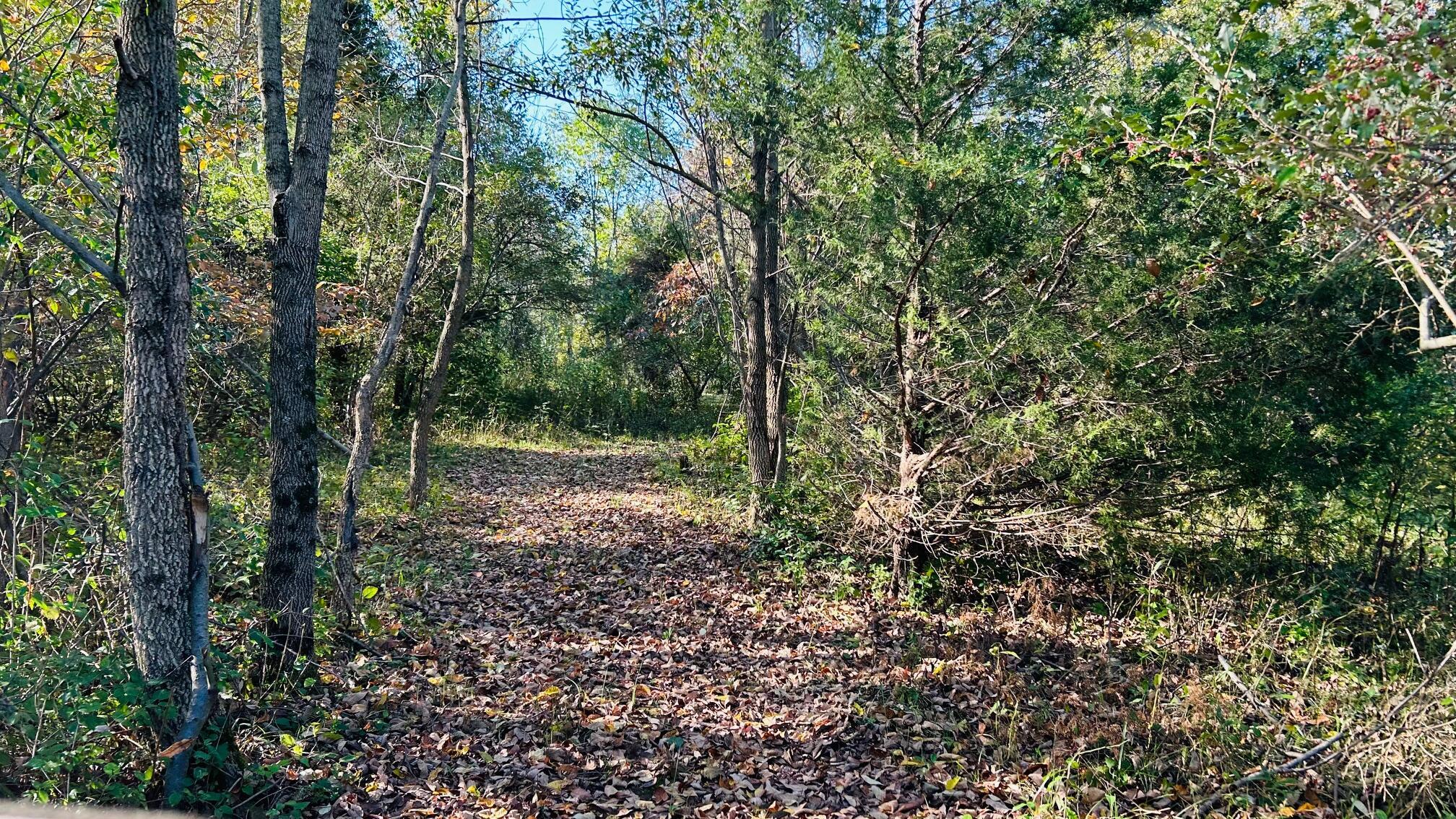 Sitterley Road, Canal Winchester, Ohio image 13