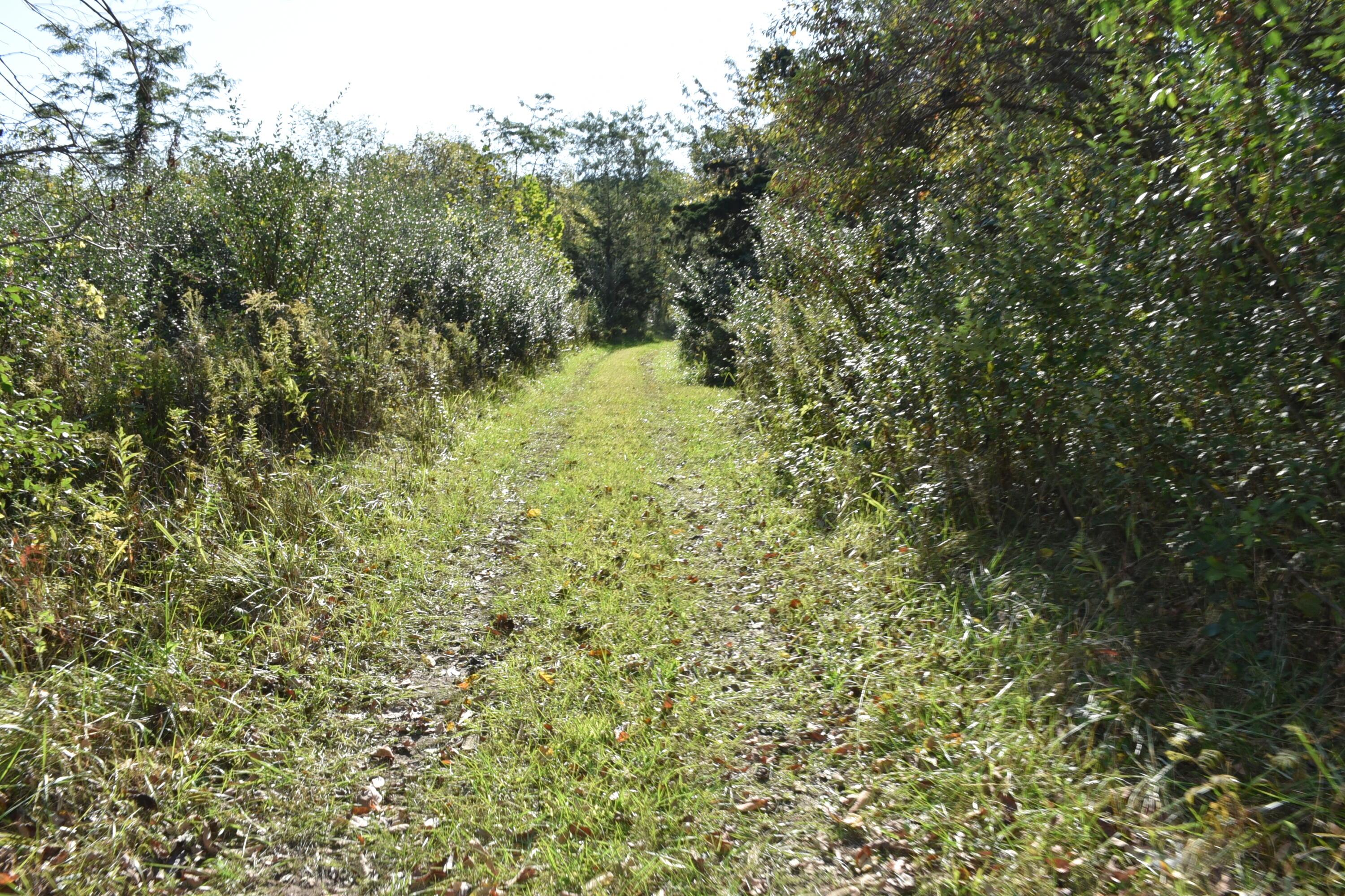 Sitterley Road, Canal Winchester, Ohio image 11