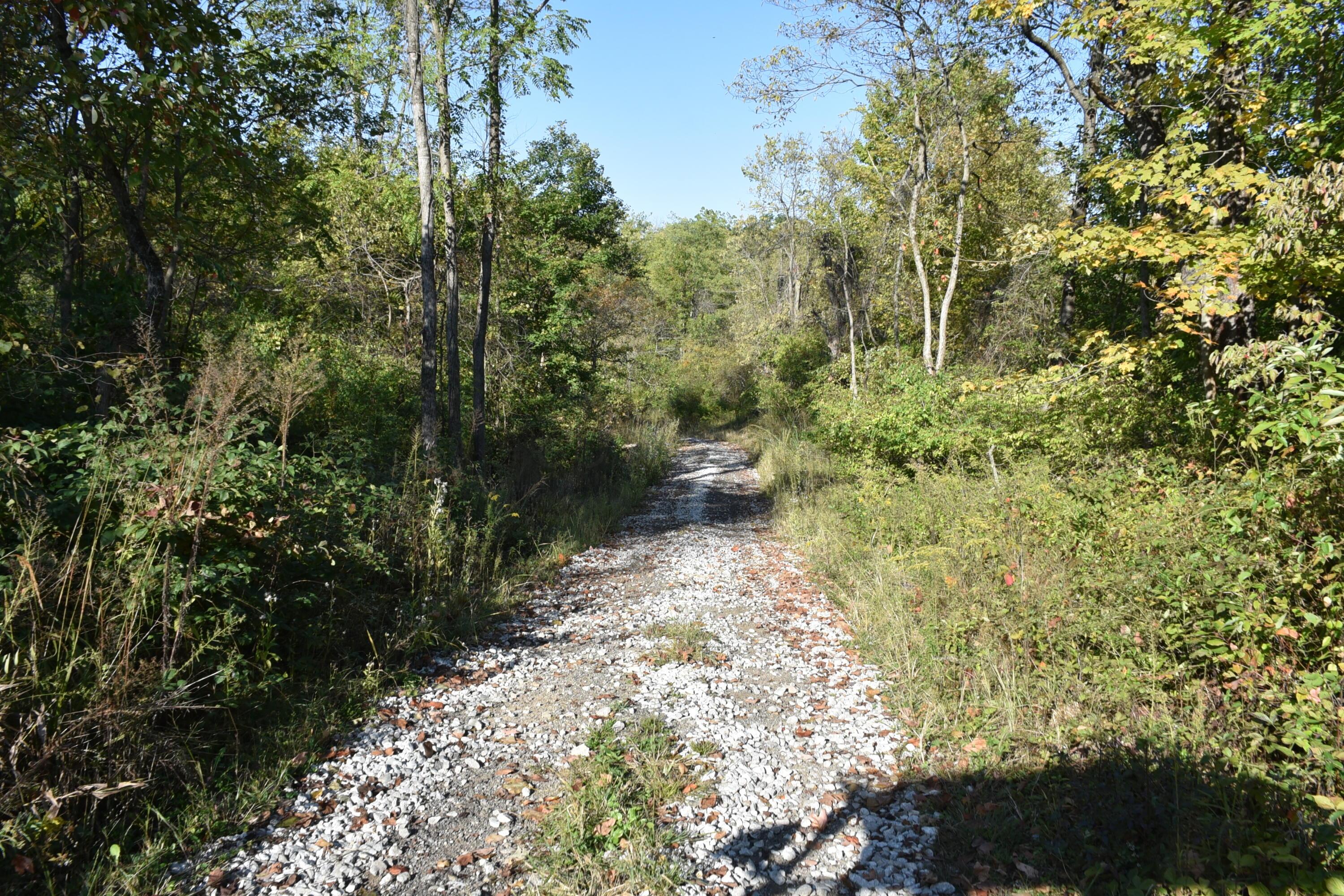 Sitterley Road, Canal Winchester, Ohio image 5