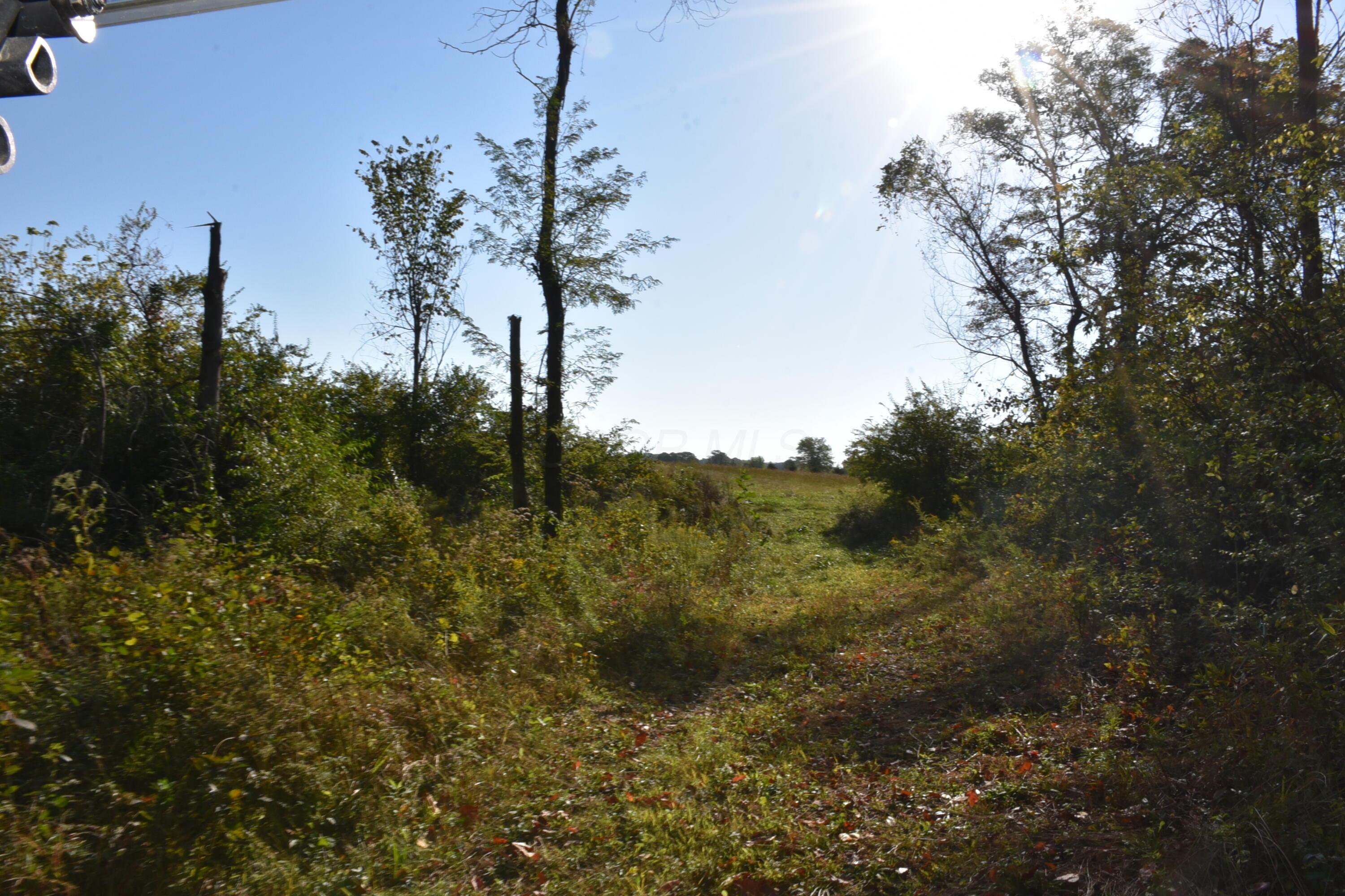 Sitterley Road, Canal Winchester, Ohio image 3