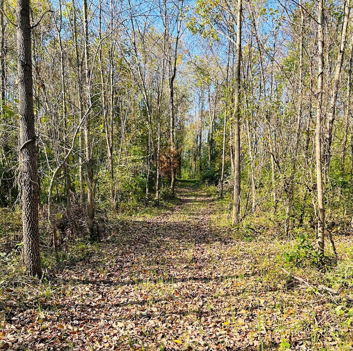 Sitterley Road, Canal Winchester, Ohio image 12