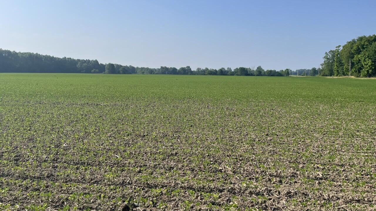 20338 Delaware Co Line Road, Marysville, Ohio image 1