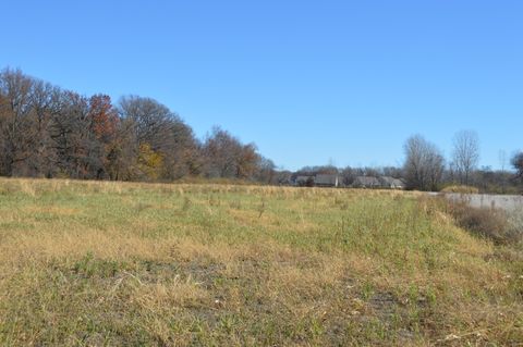 Photo of 0 S Mitchell Road, Bowling Green, OH 43402 (MLS # 225038099)