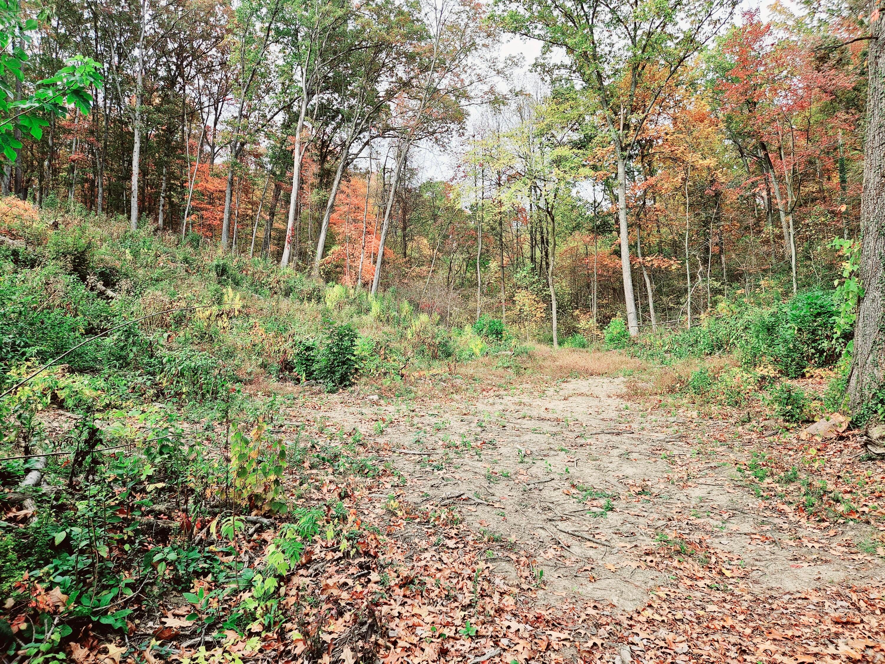513 Ross Road, Lancaster, Ohio image 3