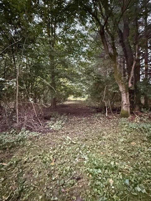 Tiny photo for 633 Willey Road, Delaware, OH 43015 (MLS # 226036327)