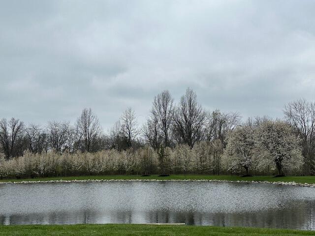 2529 Silver Fir Lane, Grove City, Ohio image 27