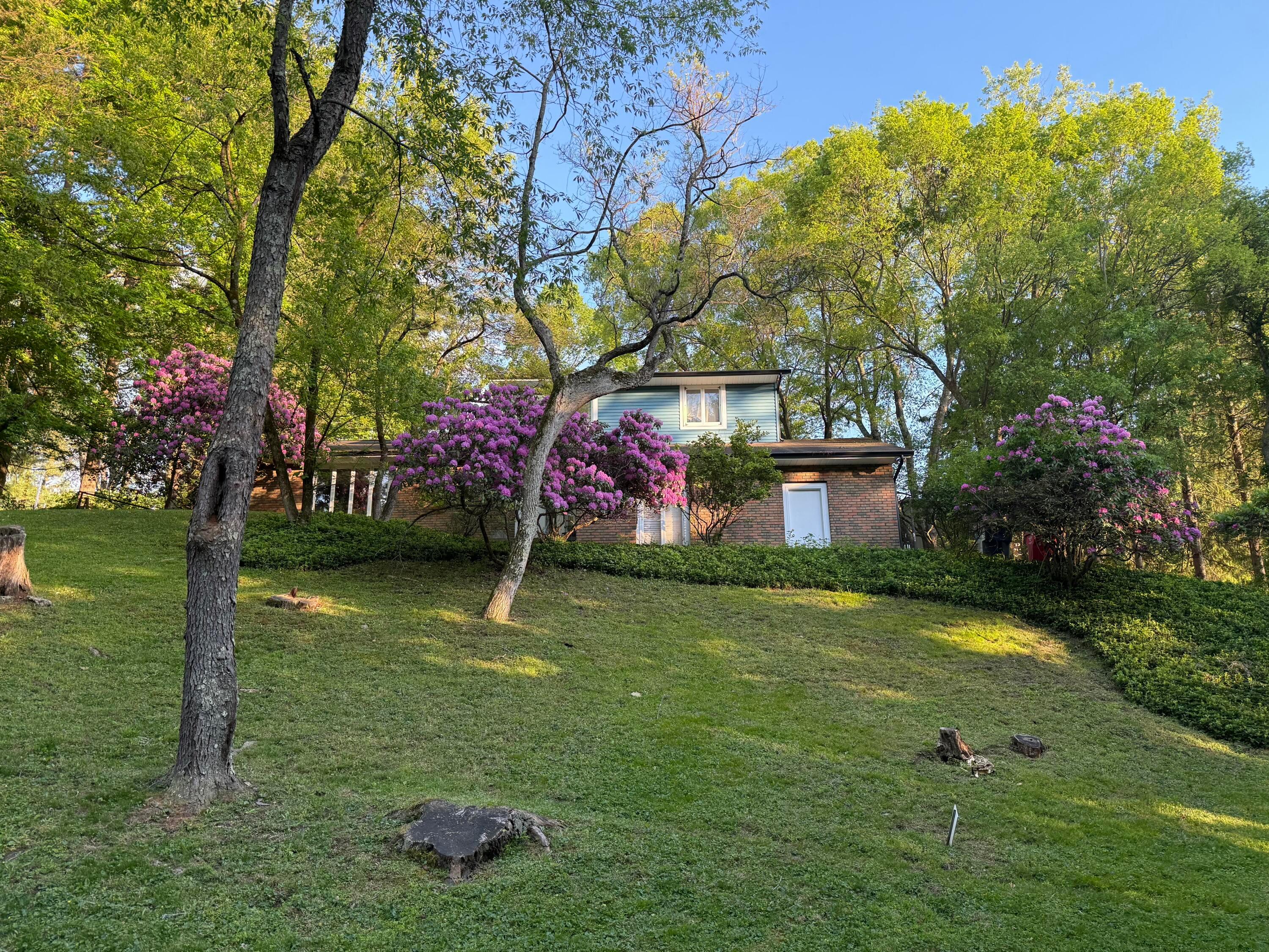 52 Spruce Drive NE