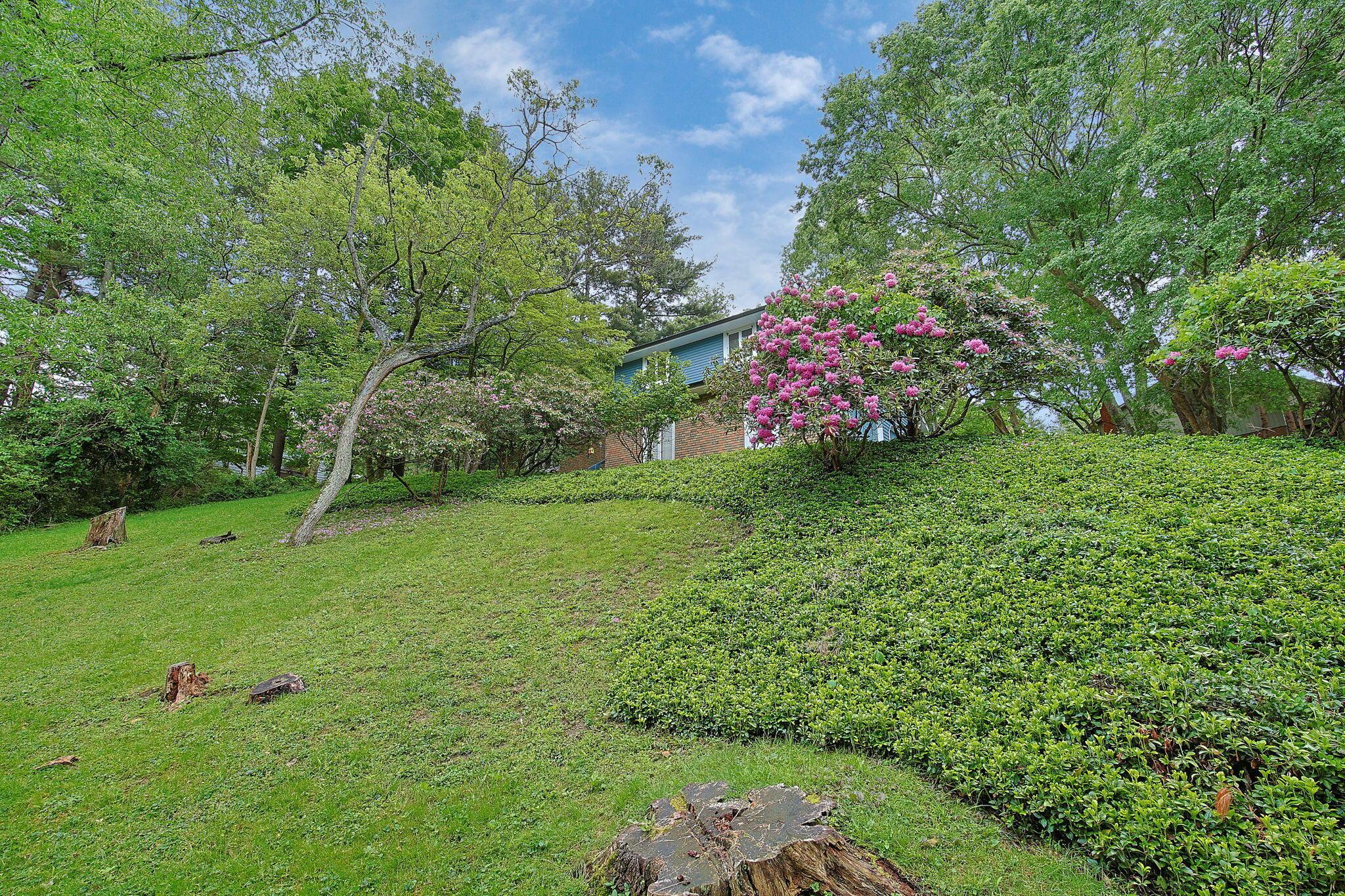 52 Spruce Drive NE