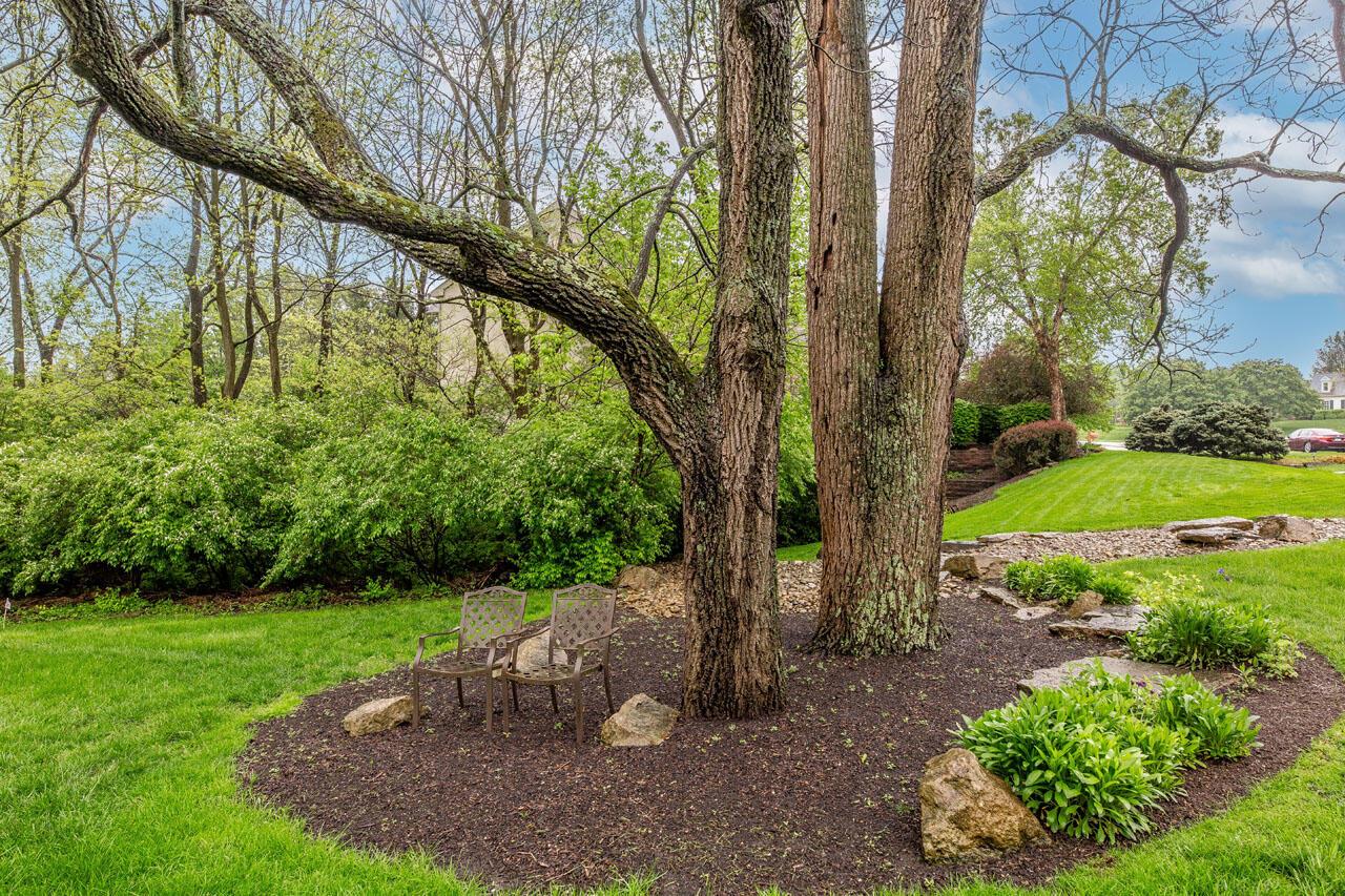 8383 Clarington Court, Powell, Ohio image 11