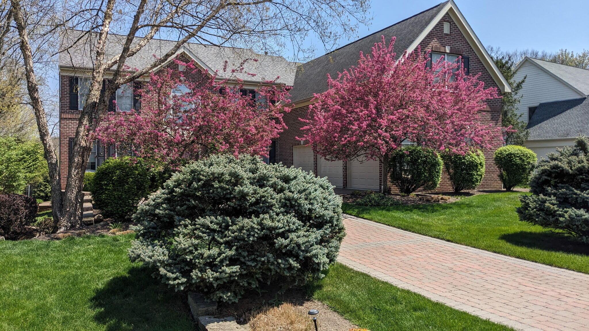 8383 Clarington Court, Powell, Ohio image 2