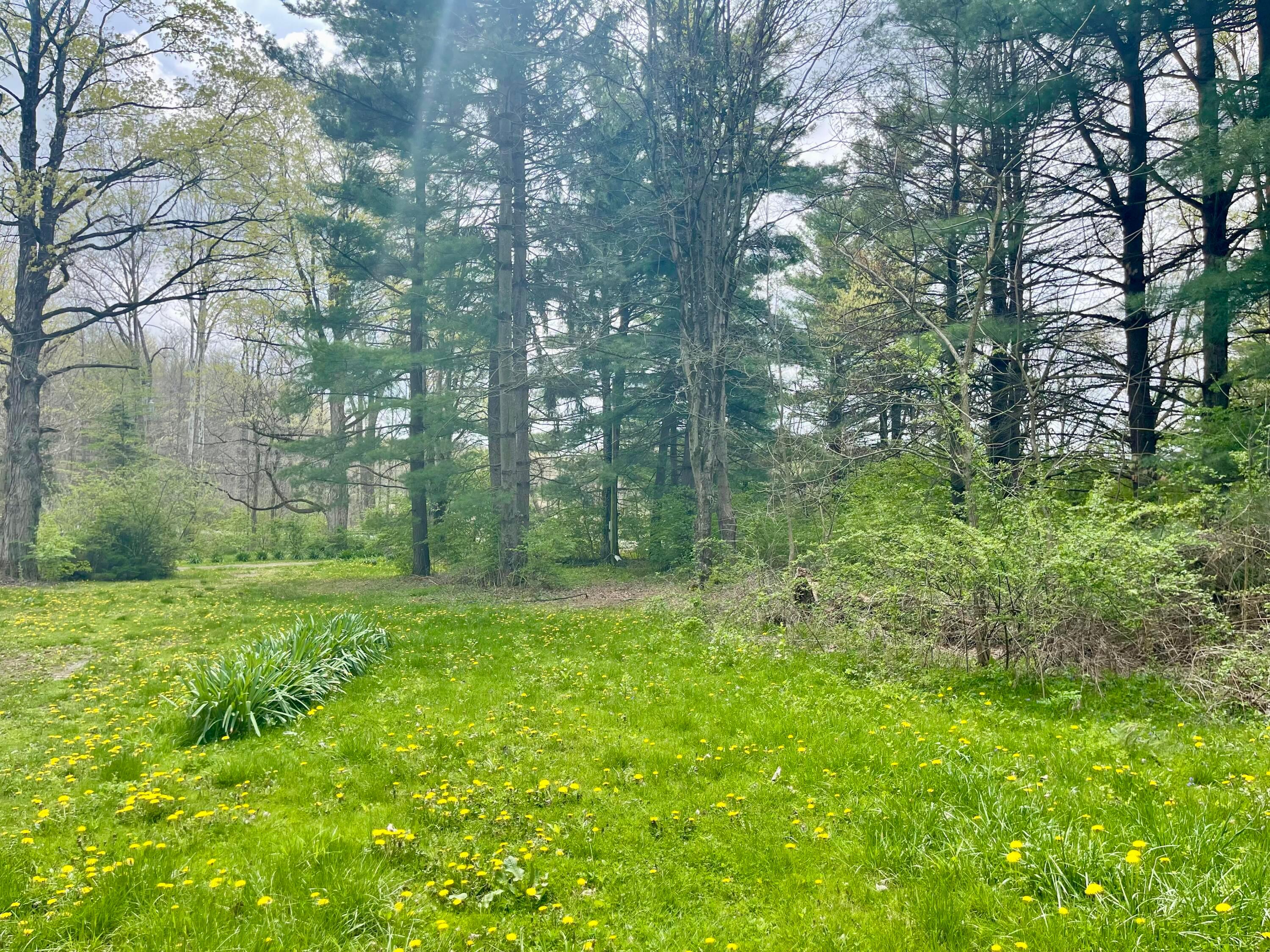 5041 Township Road 187, Marengo, Ohio image 2