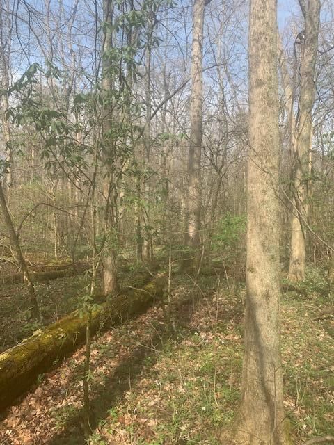 Photo of 0 Township Road 188, Cardington, OH 43315 (MLS # 226010631)