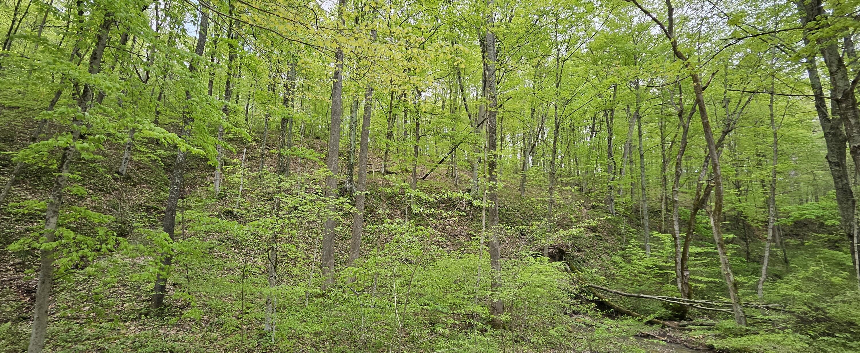 36472 Kern Road, Nelsonville, Ohio image 50