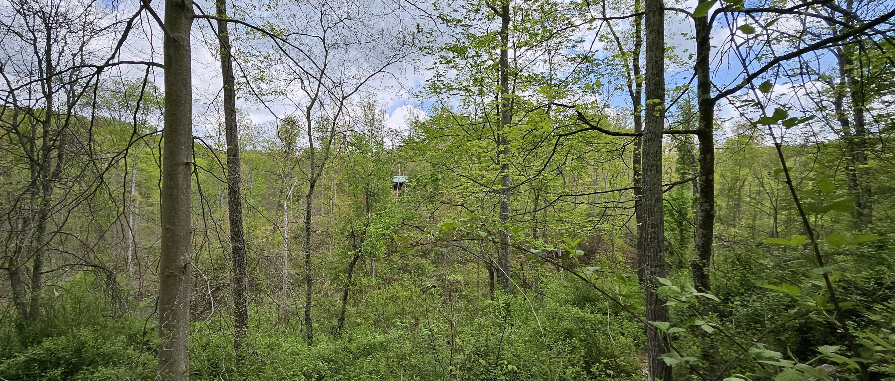 36472 Kern Road, Nelsonville, Ohio image 38