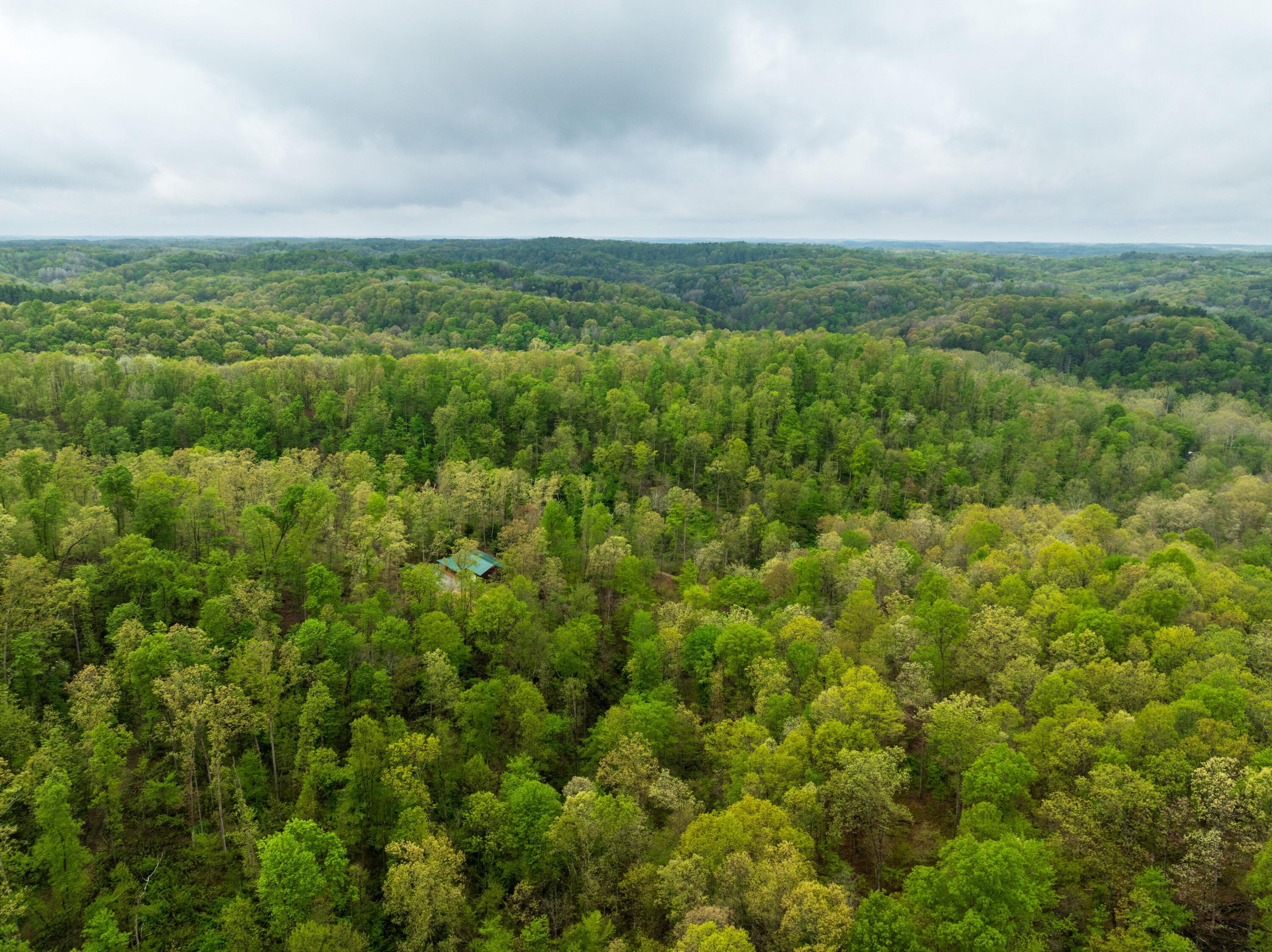 36472 Kern Road, Nelsonville, Ohio image 8