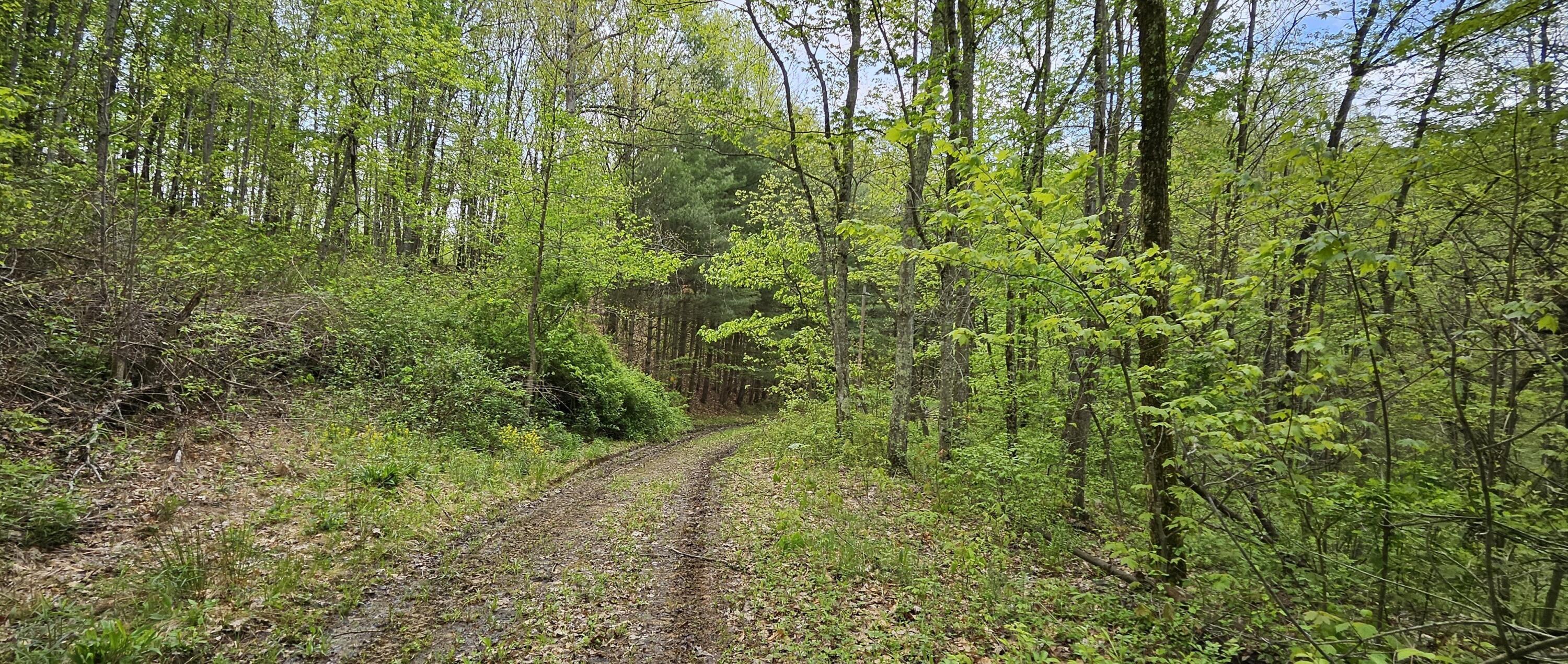36472 Kern Road, Nelsonville, Ohio image 42