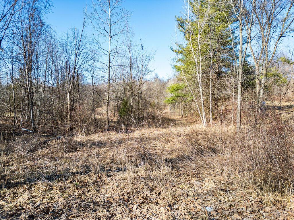 5089 Township Road 187, Marengo, Ohio image 8