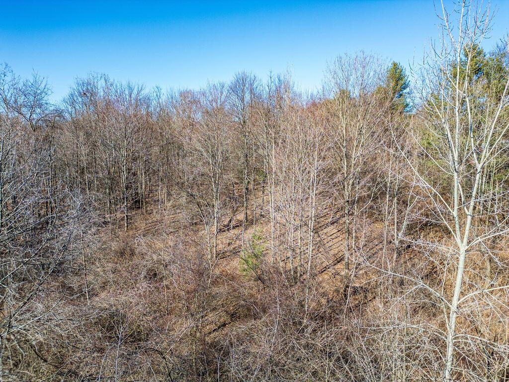 5089 Township Road 187, Marengo, Ohio image 11